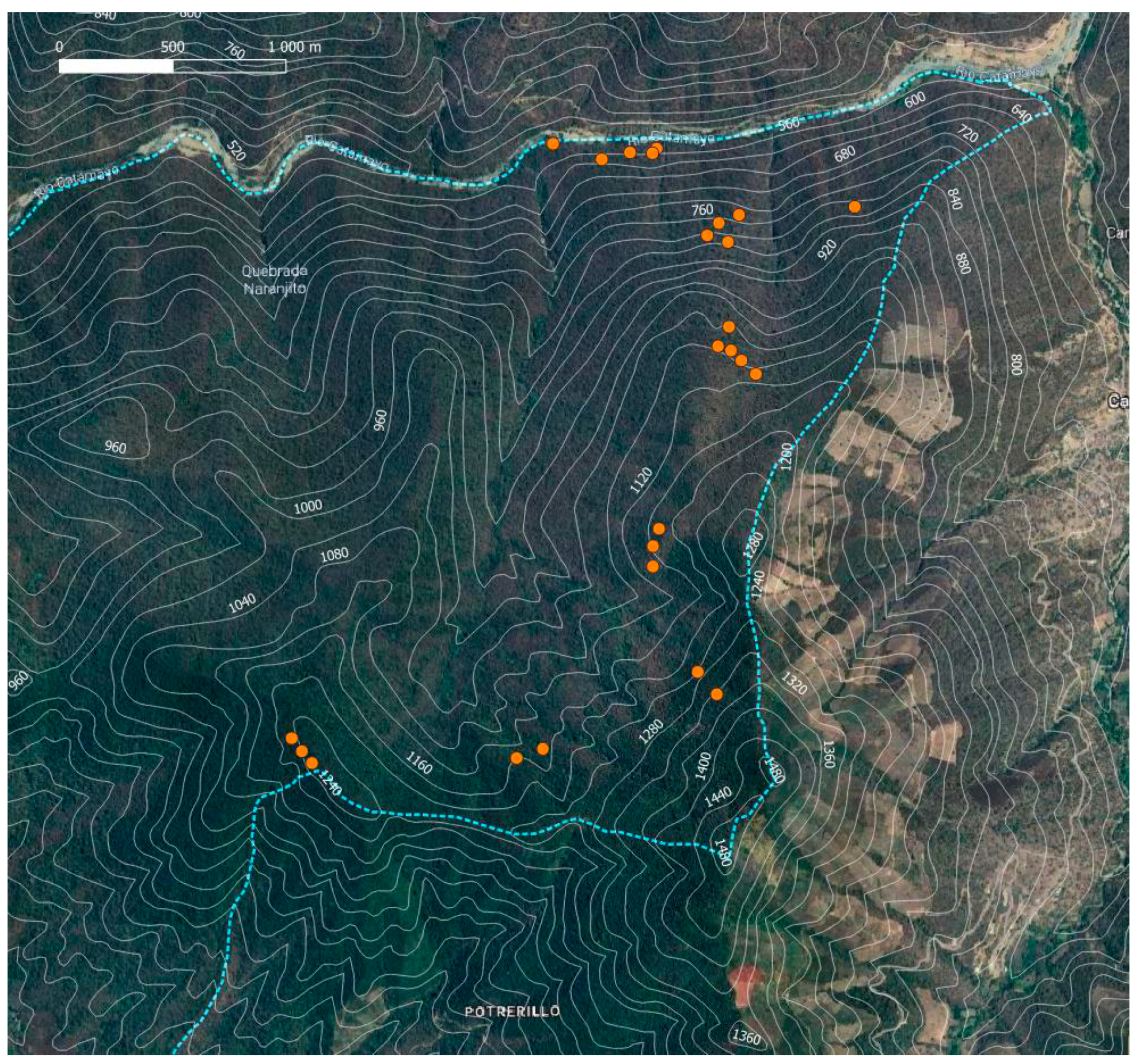 Plants 13 02555 g007