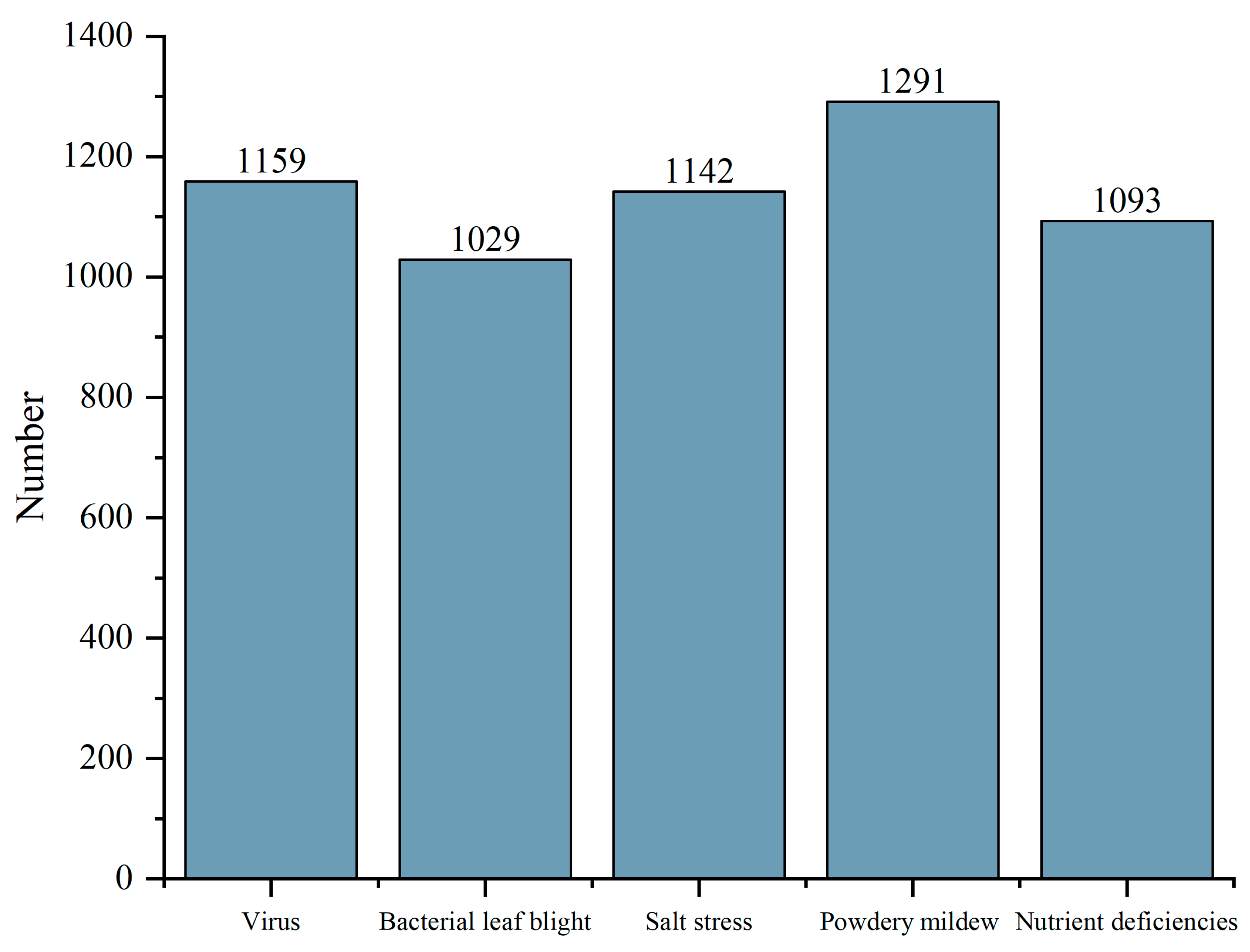 Plants 13 02556 g007