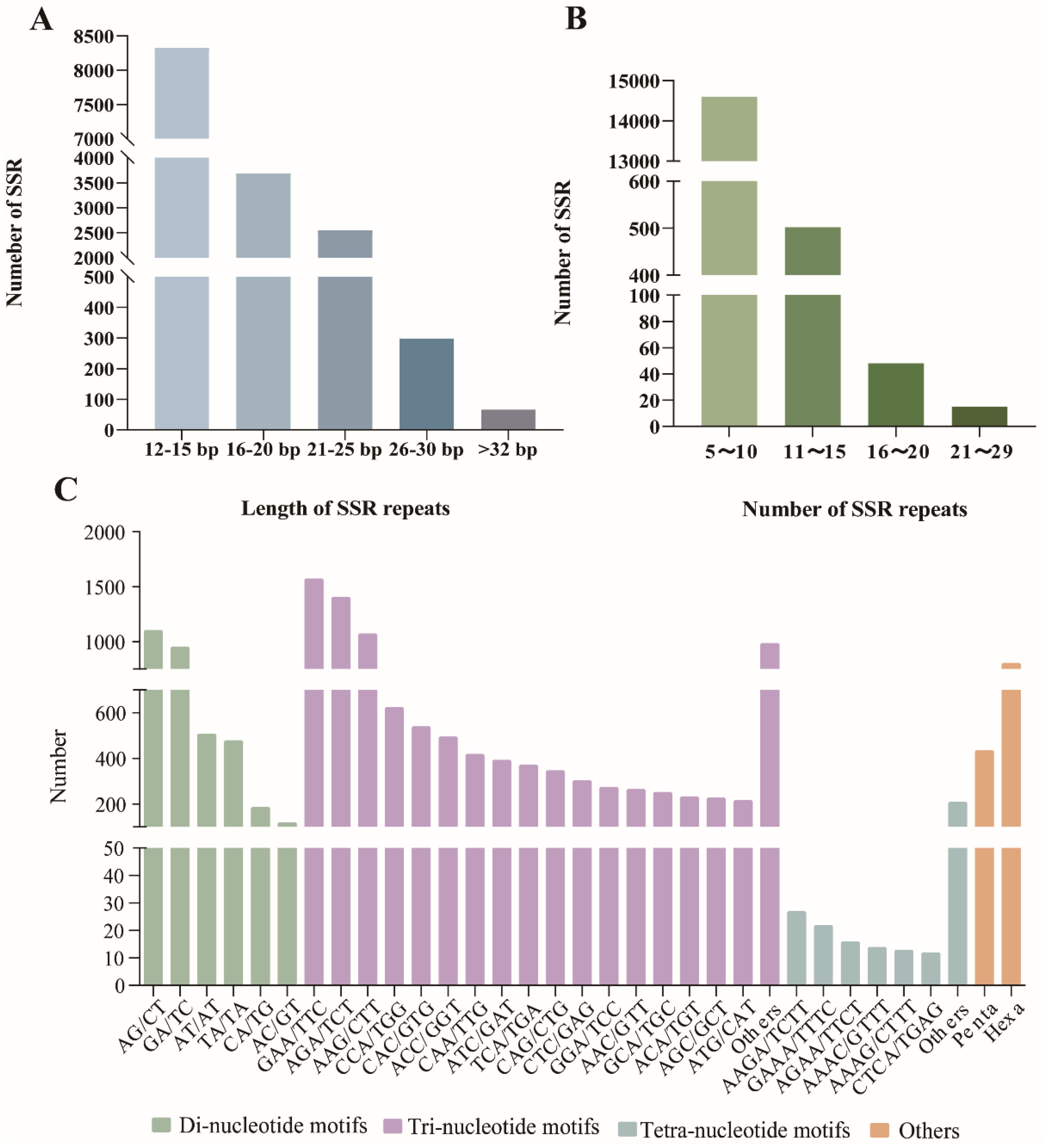 Plants 13 02561 g002