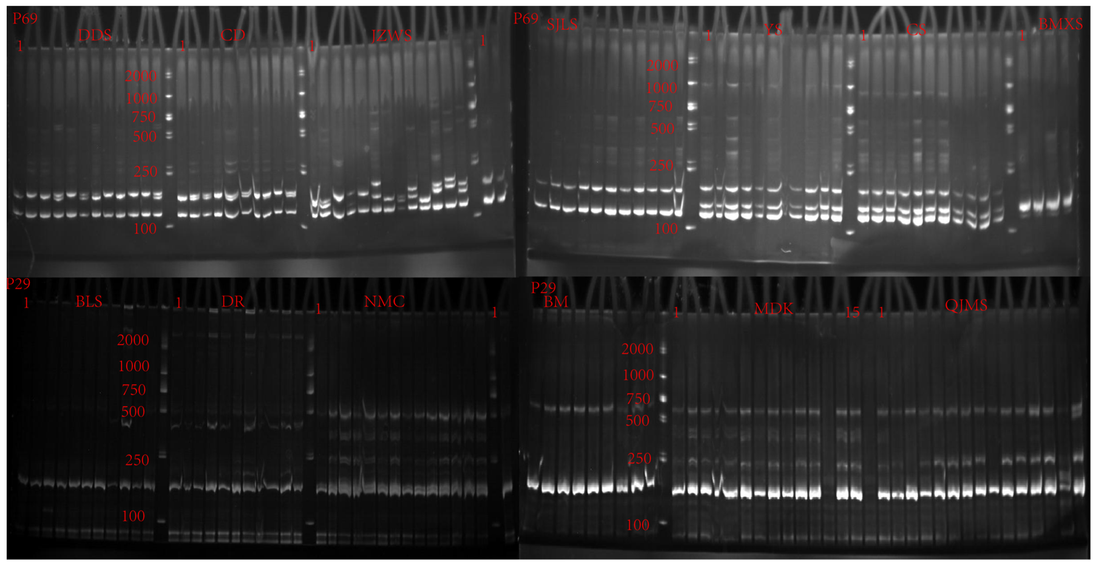 Plants 13 02561 g003