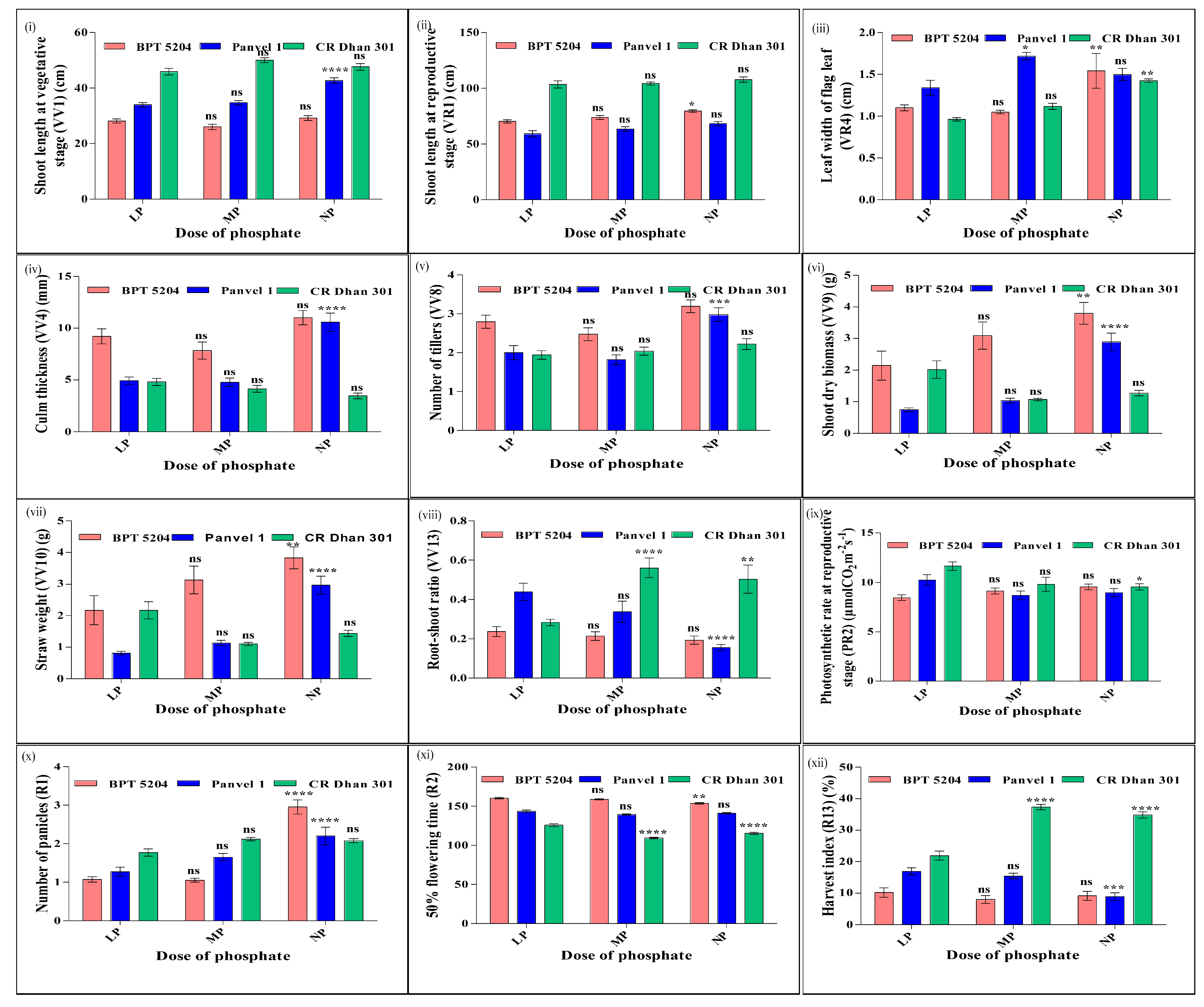 Plants 13 02567 g011