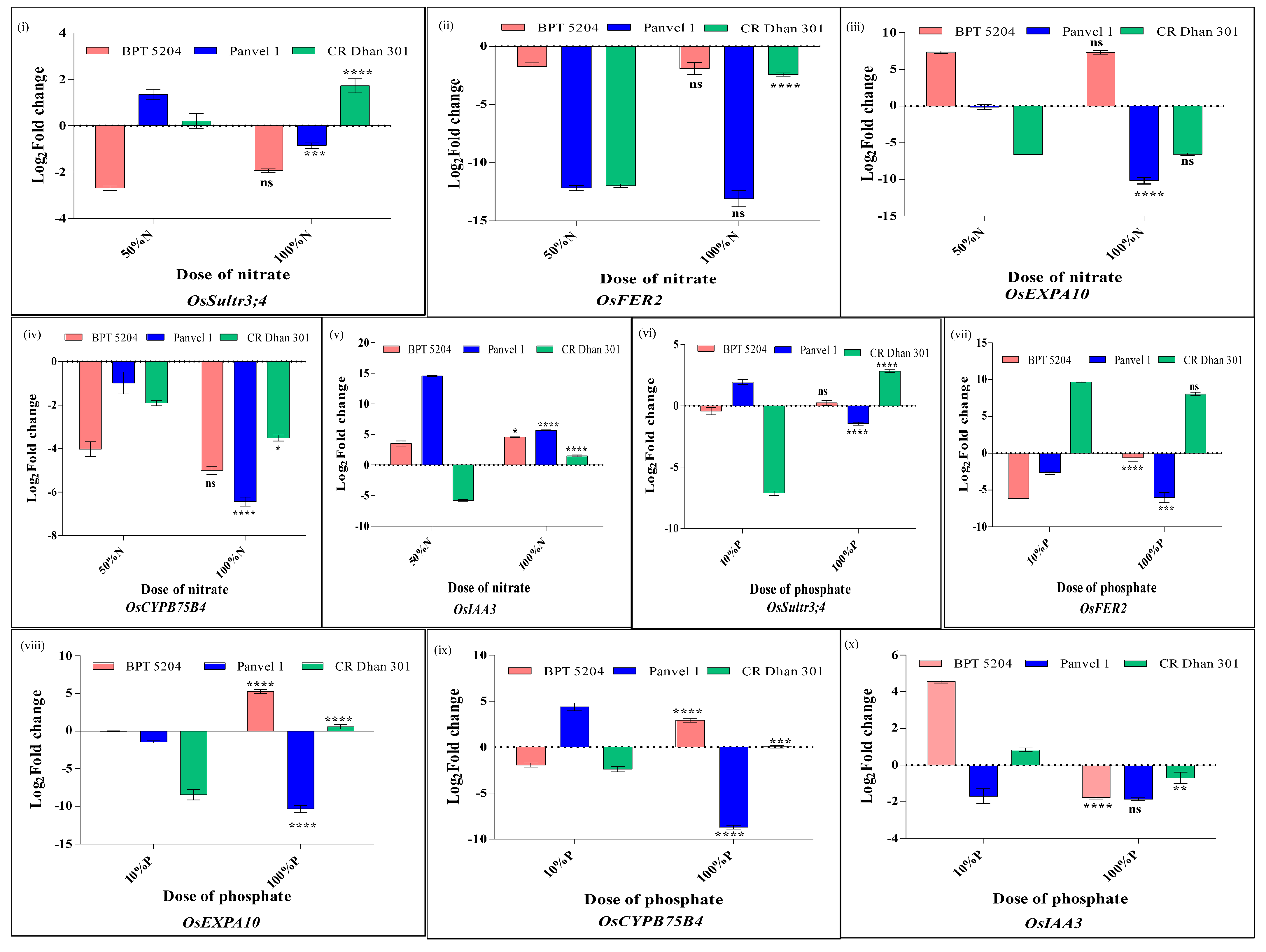 Plants 13 02567 g013