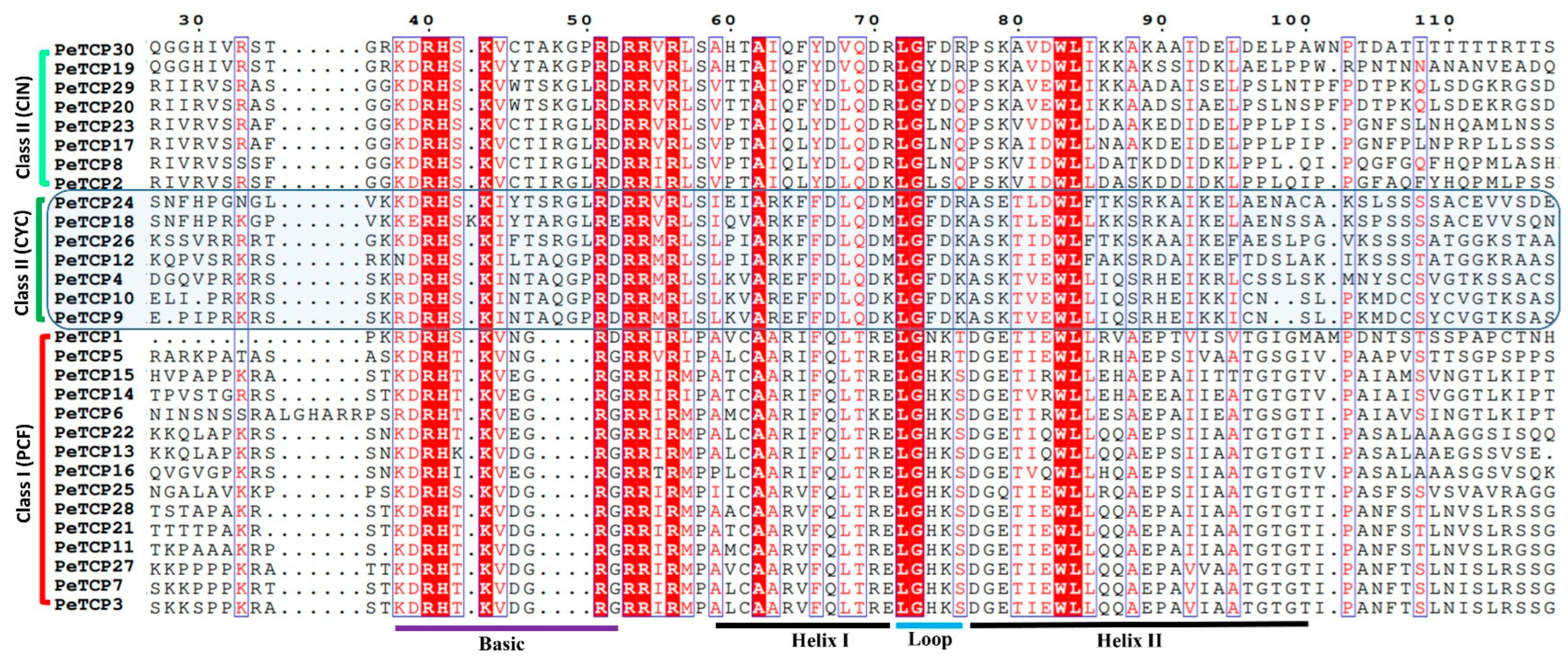 Plants 13 02568 g002