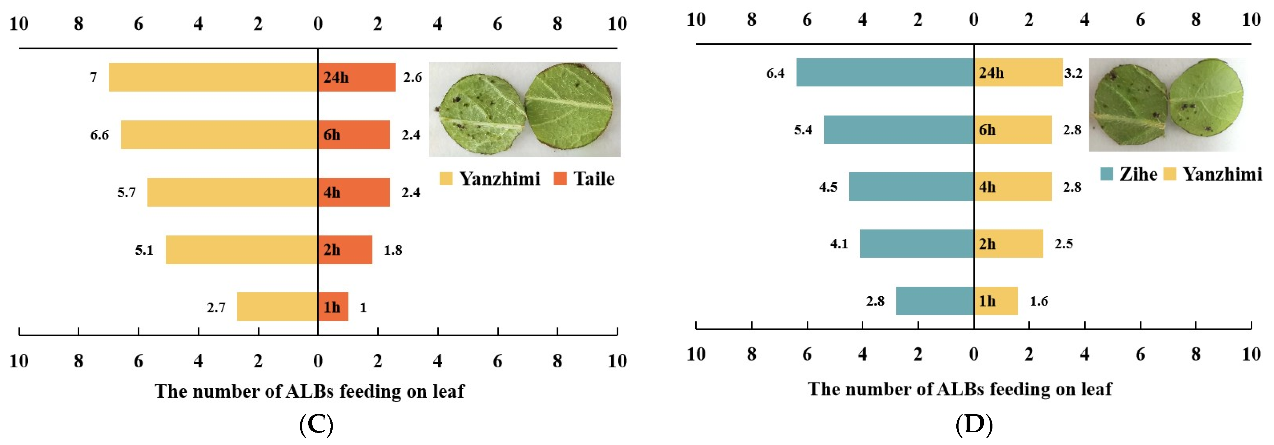 Plants 13 02569 g001b