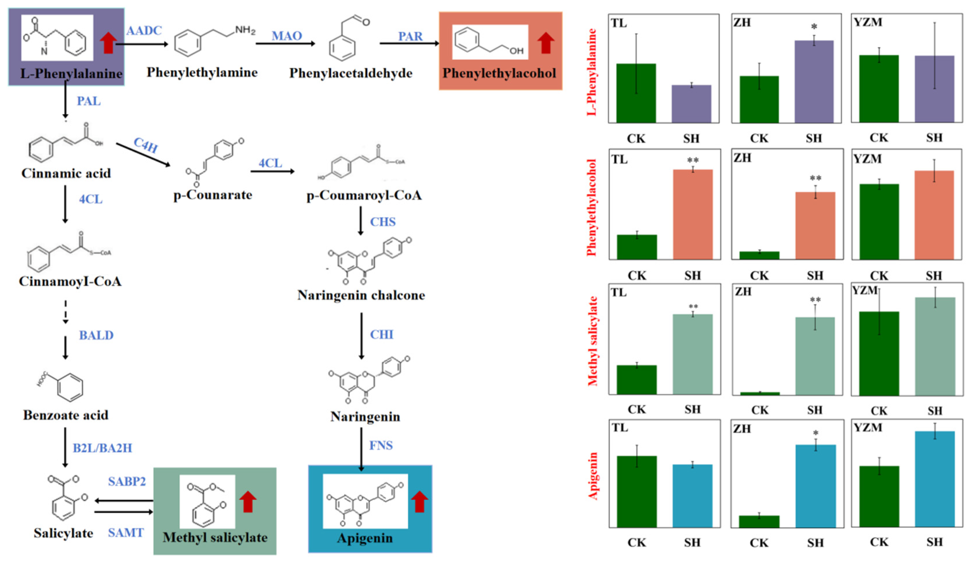 Plants 13 02569 g005