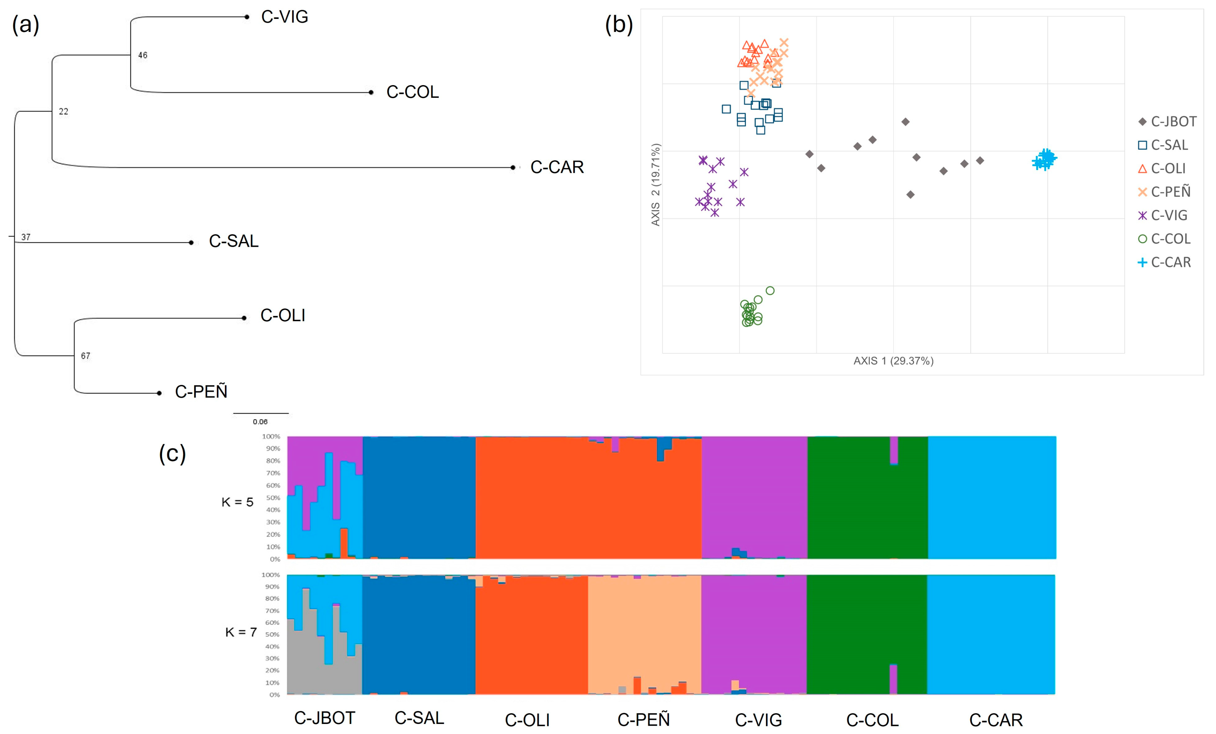 Plants 13 02573 g002