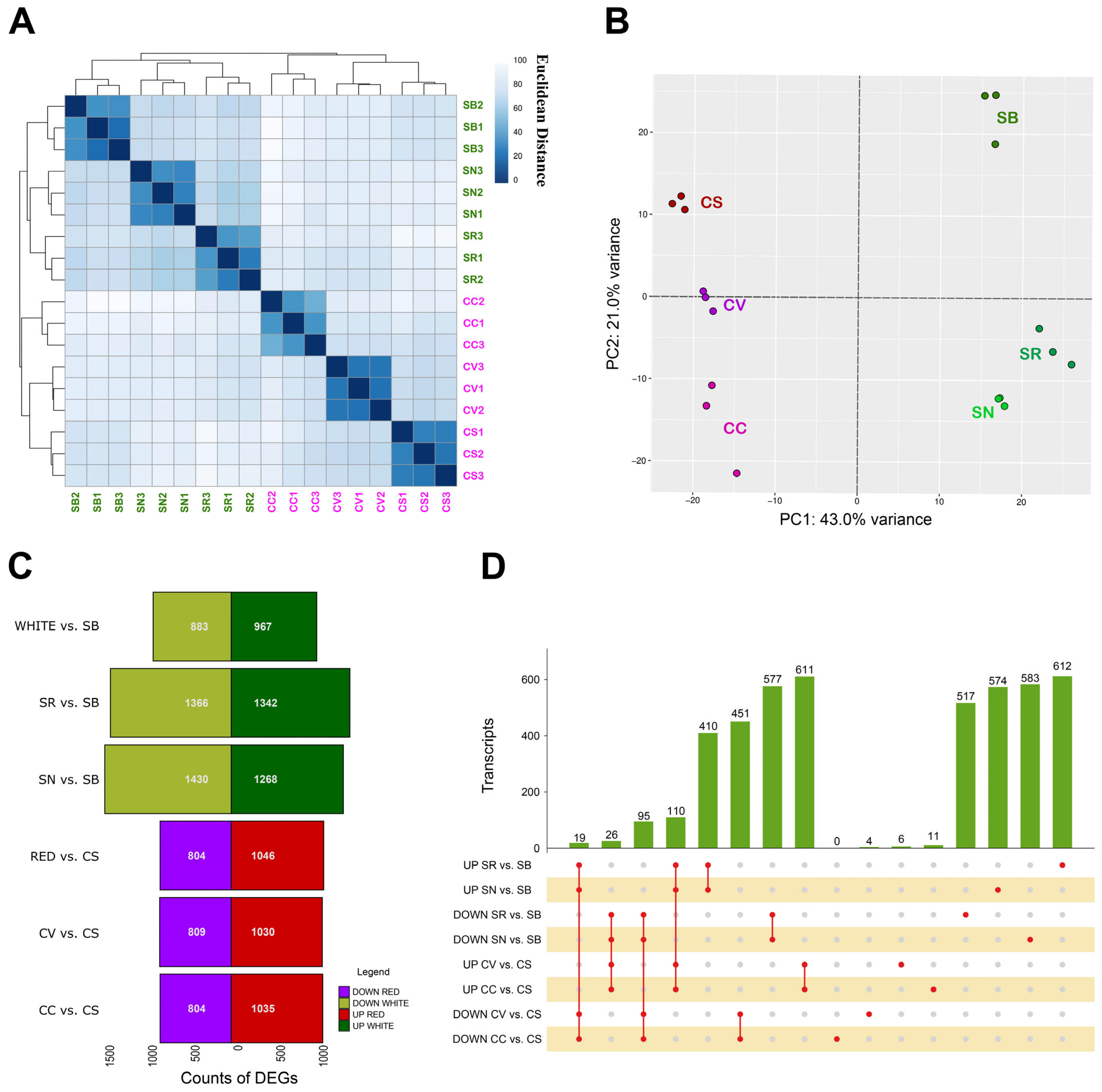 Plants 13 02574 g001