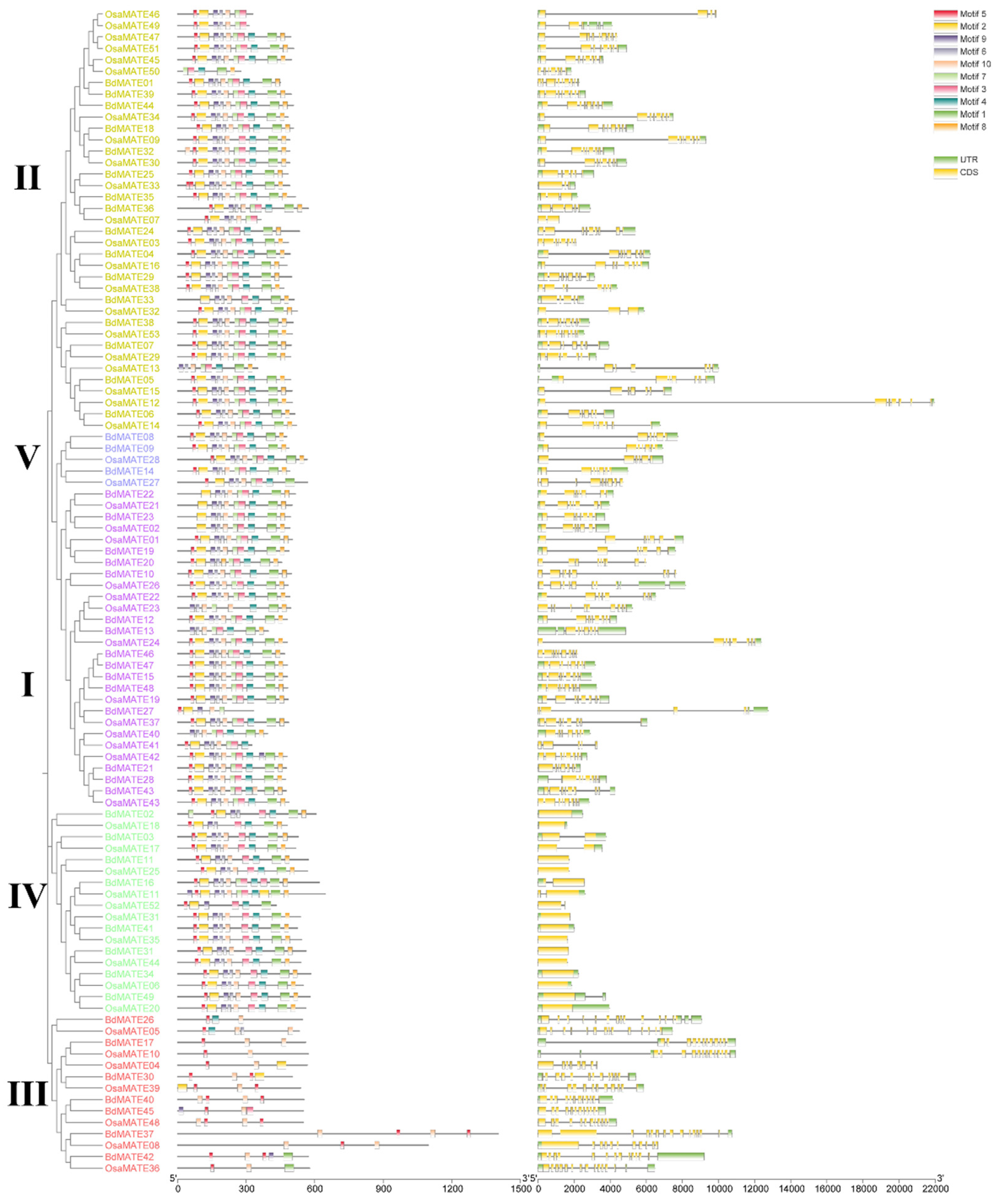Plants 13 02586 g002