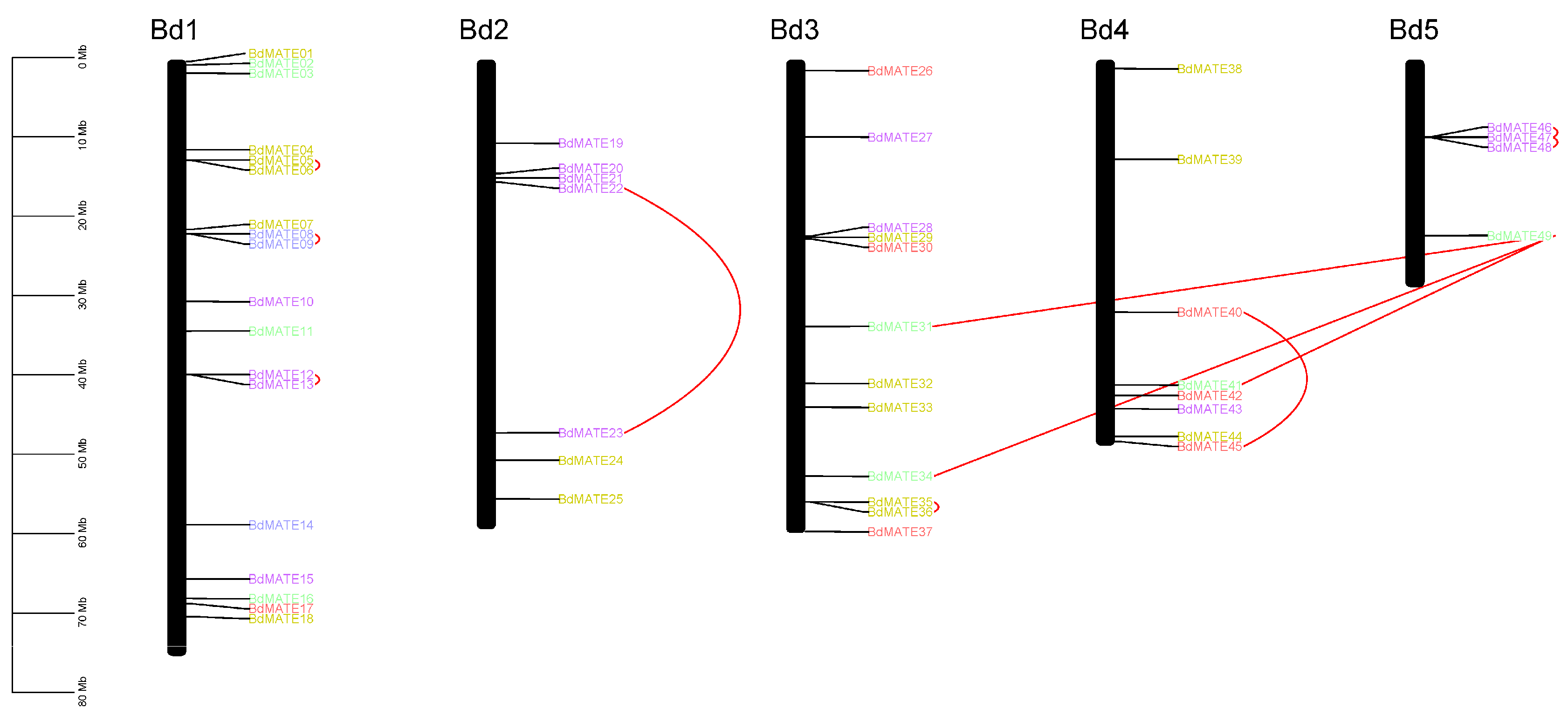 Plants 13 02586 g003