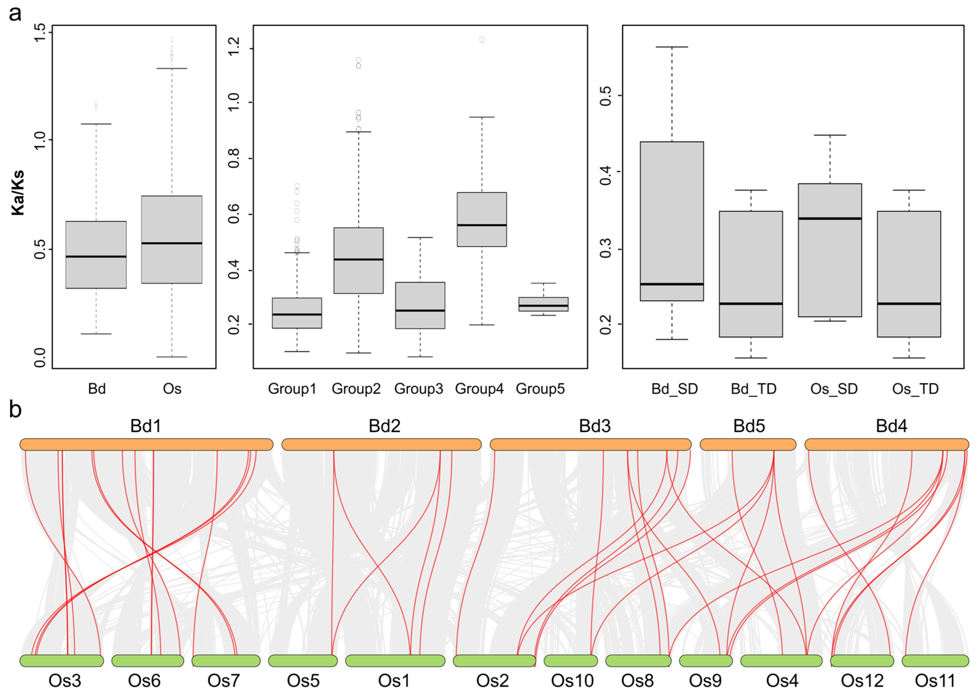 Plants 13 02586 g004