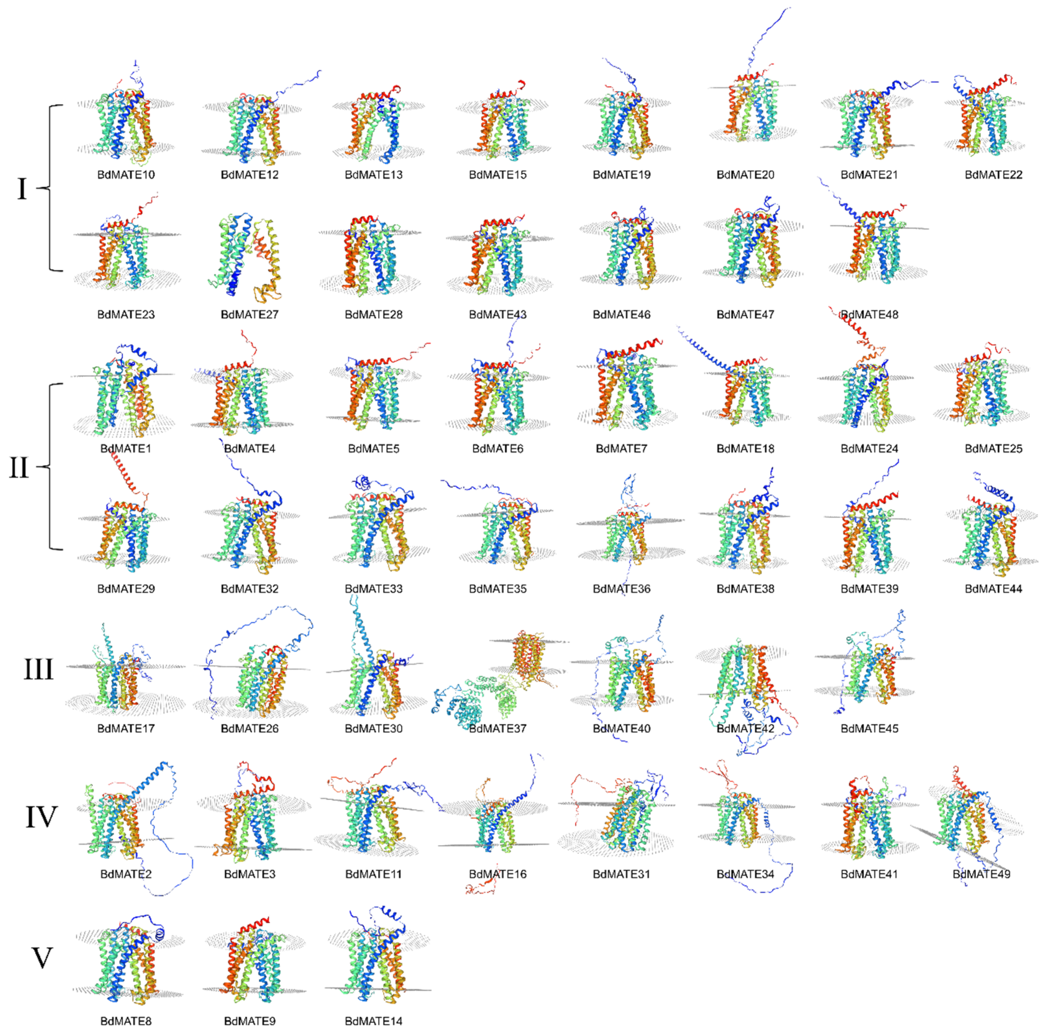 Plants 13 02586 g005