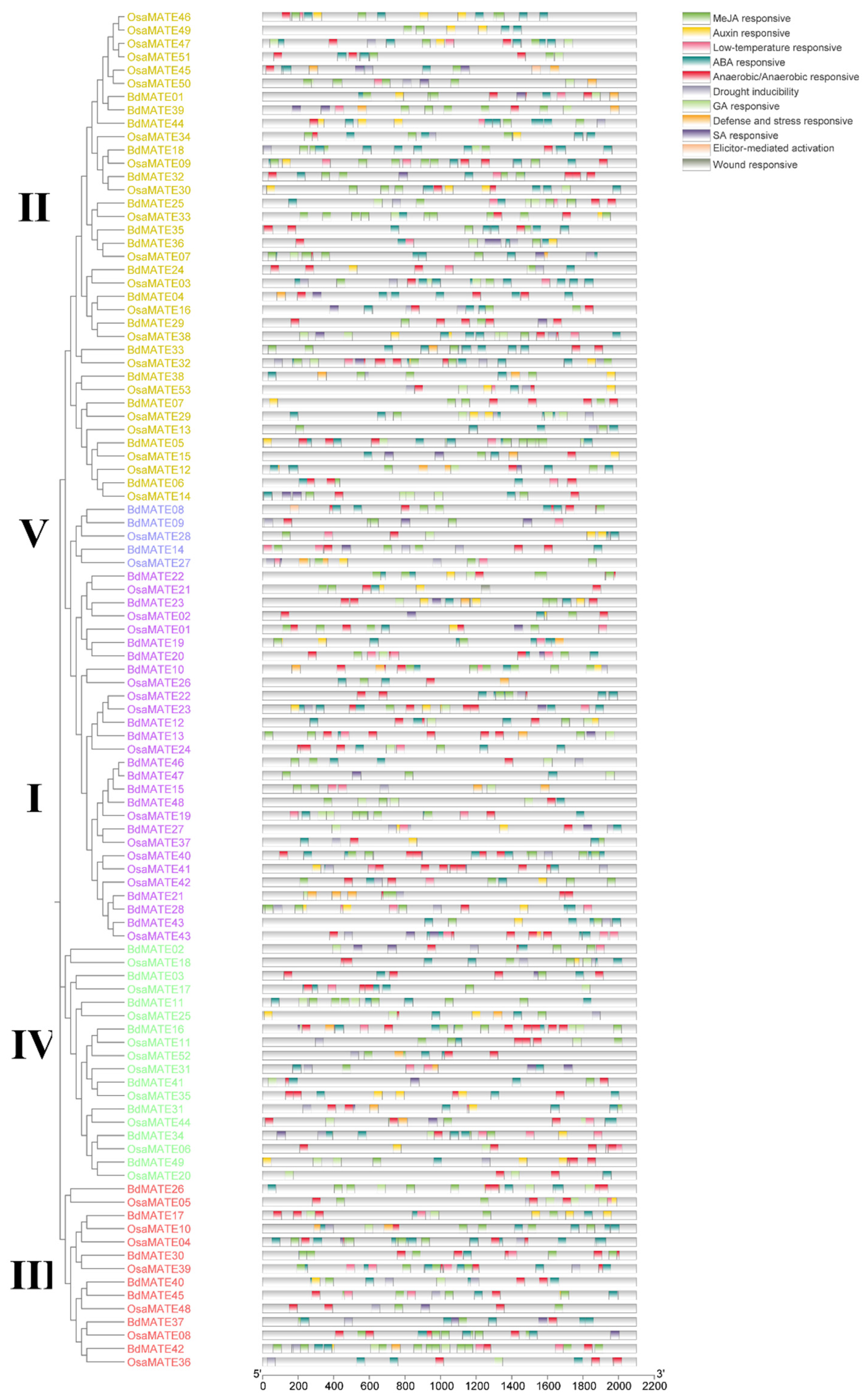 Plants 13 02586 g006