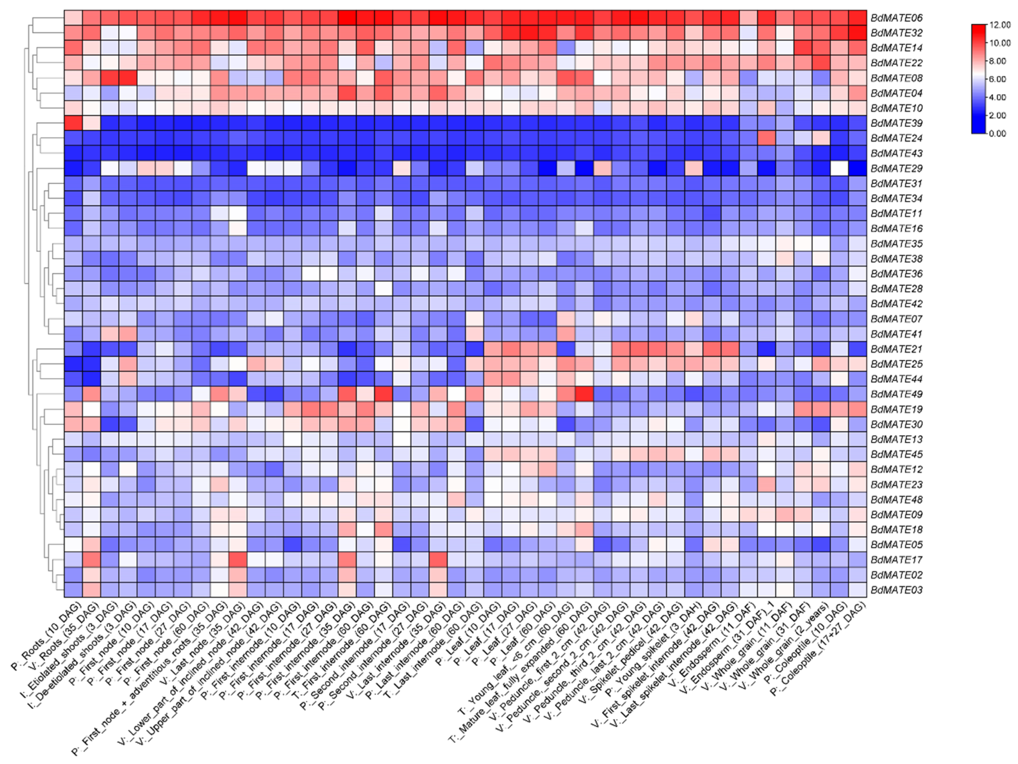 Plants 13 02586 g007