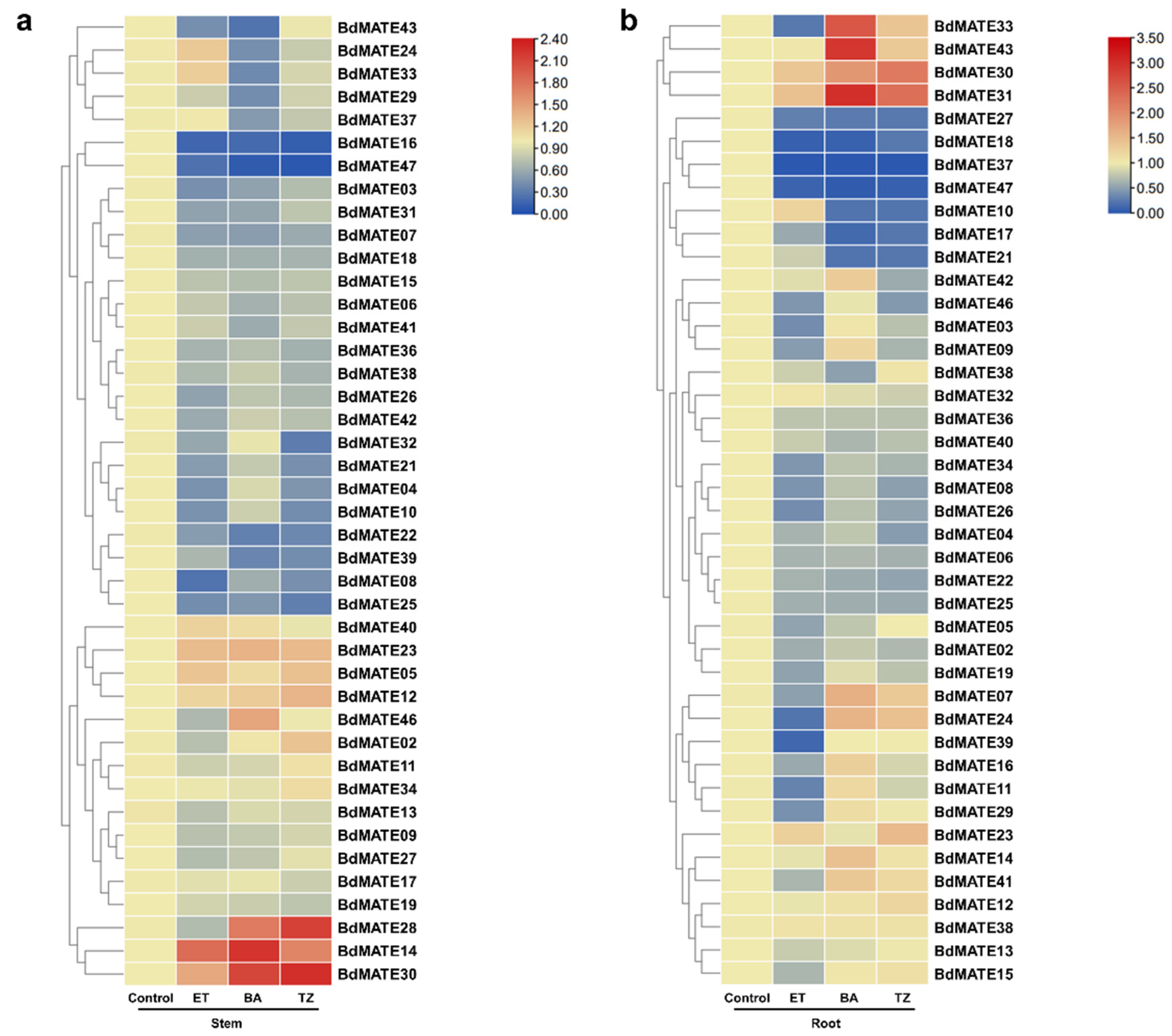 Plants 13 02586 g008
