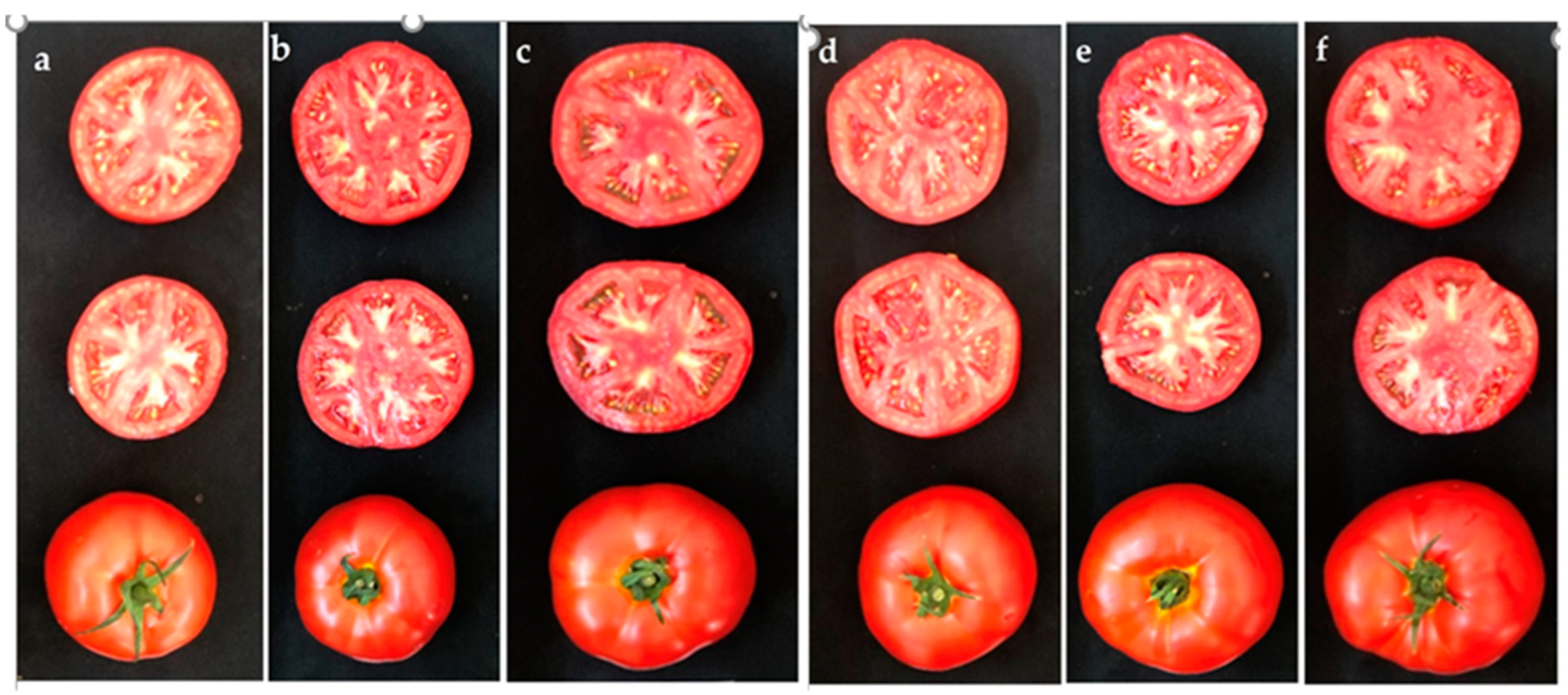 Plants 13 02587 g003