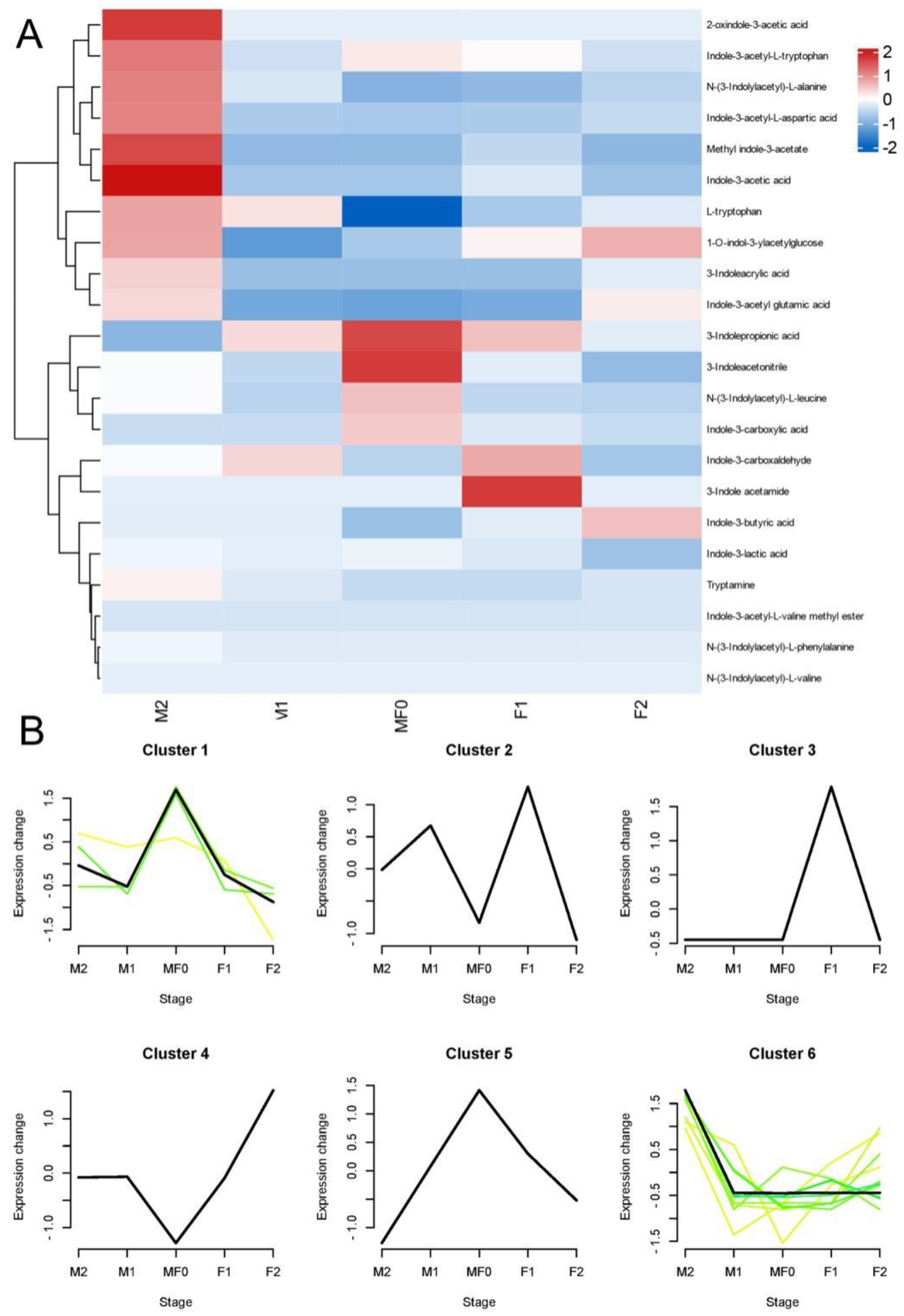 Plants 13 02592 g002