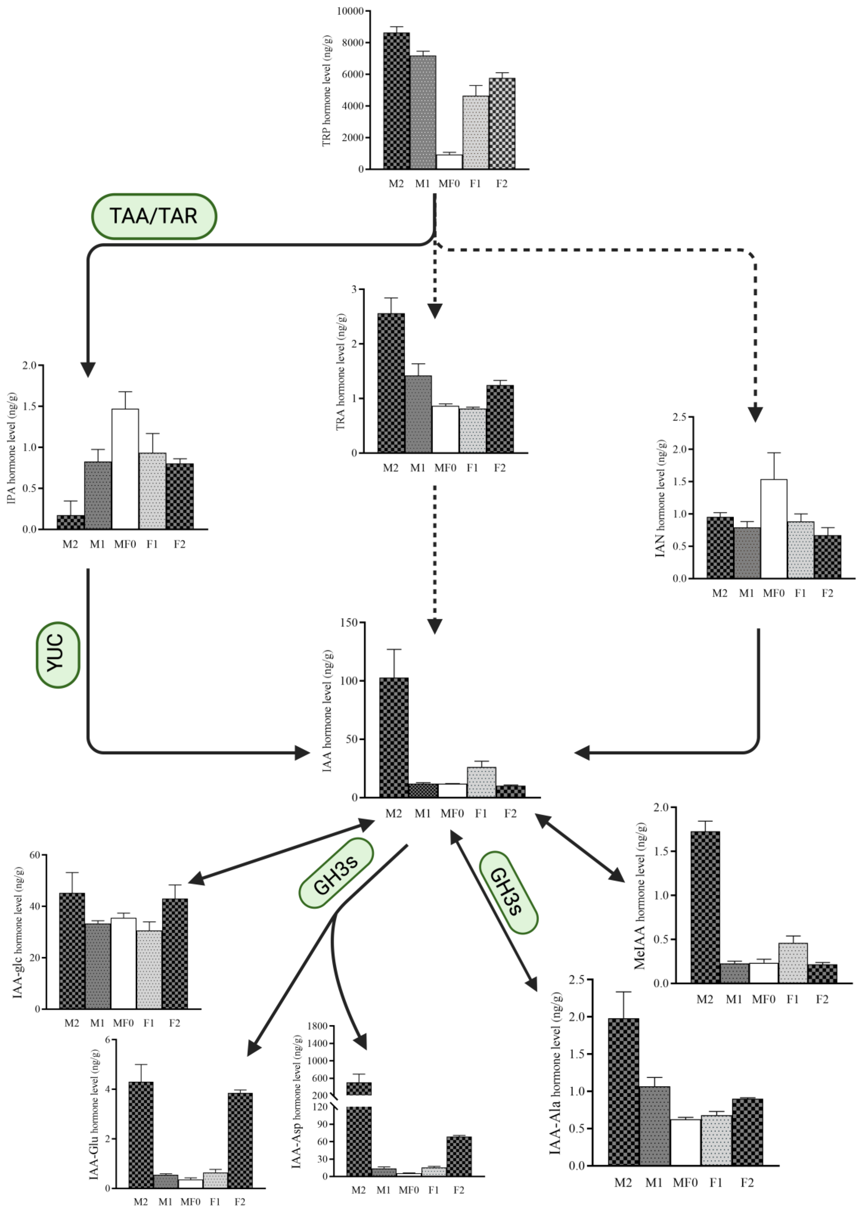 Plants 13 02592 g003
