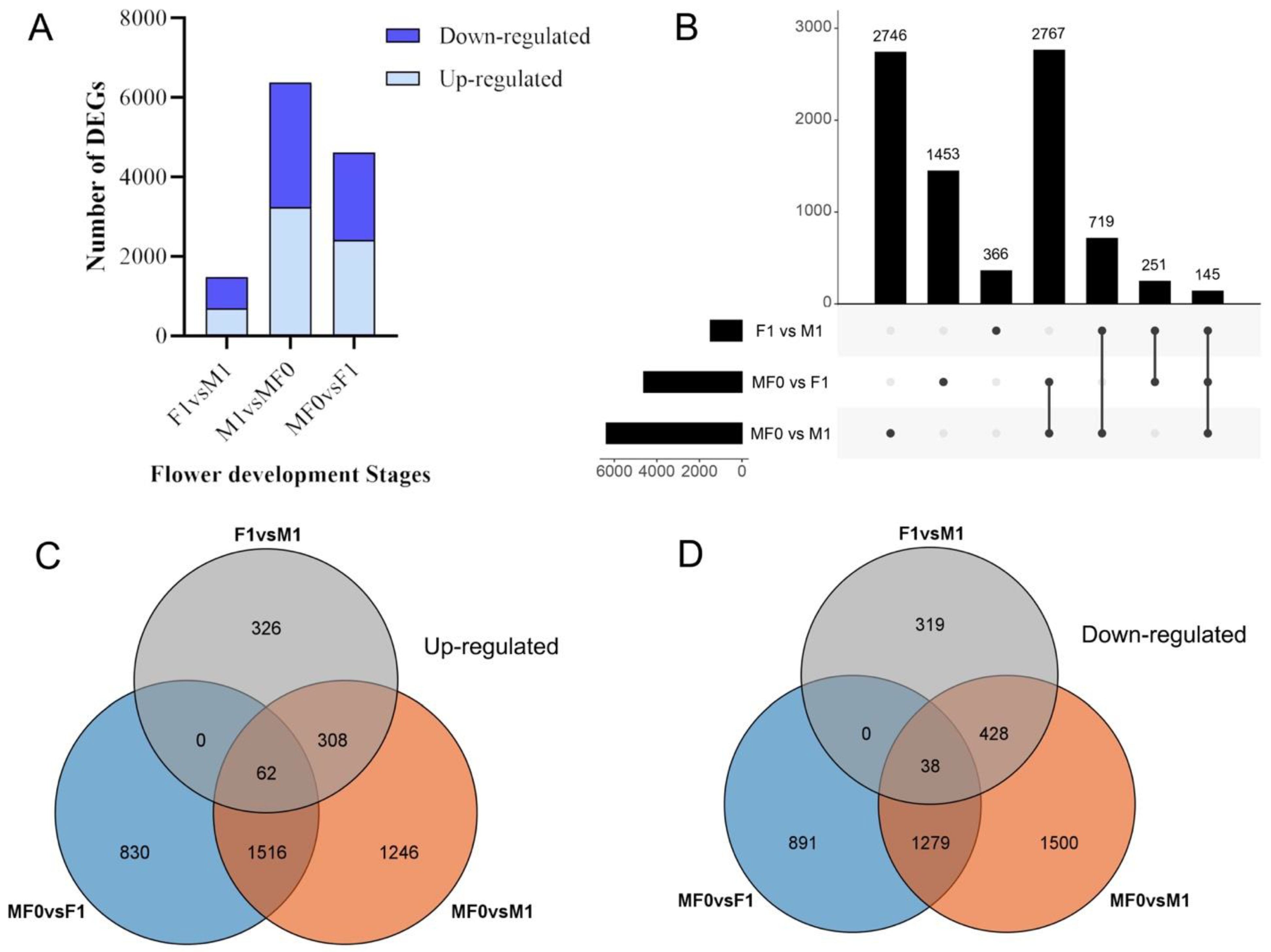 Plants 13 02592 g004