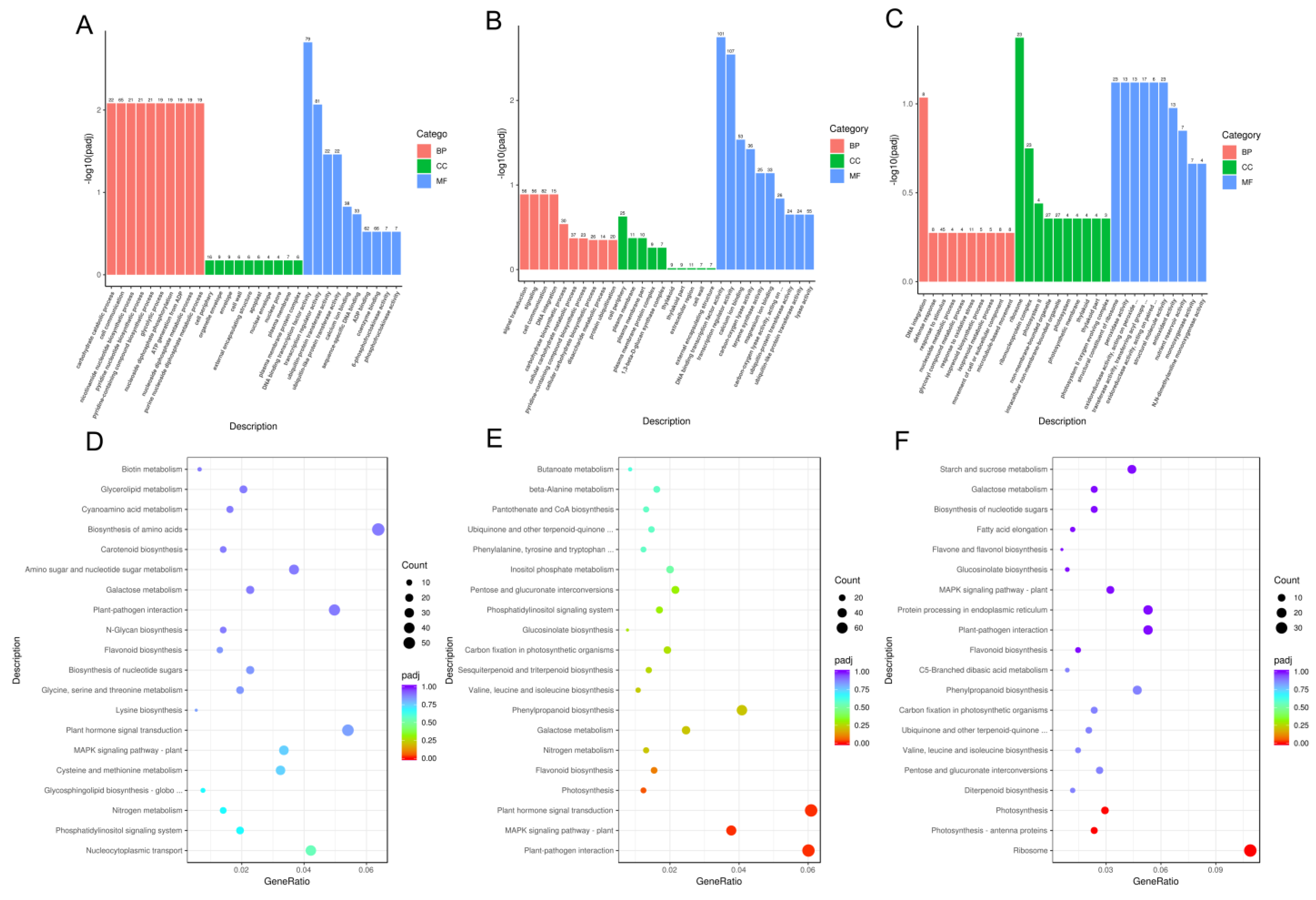 Plants 13 02592 g006