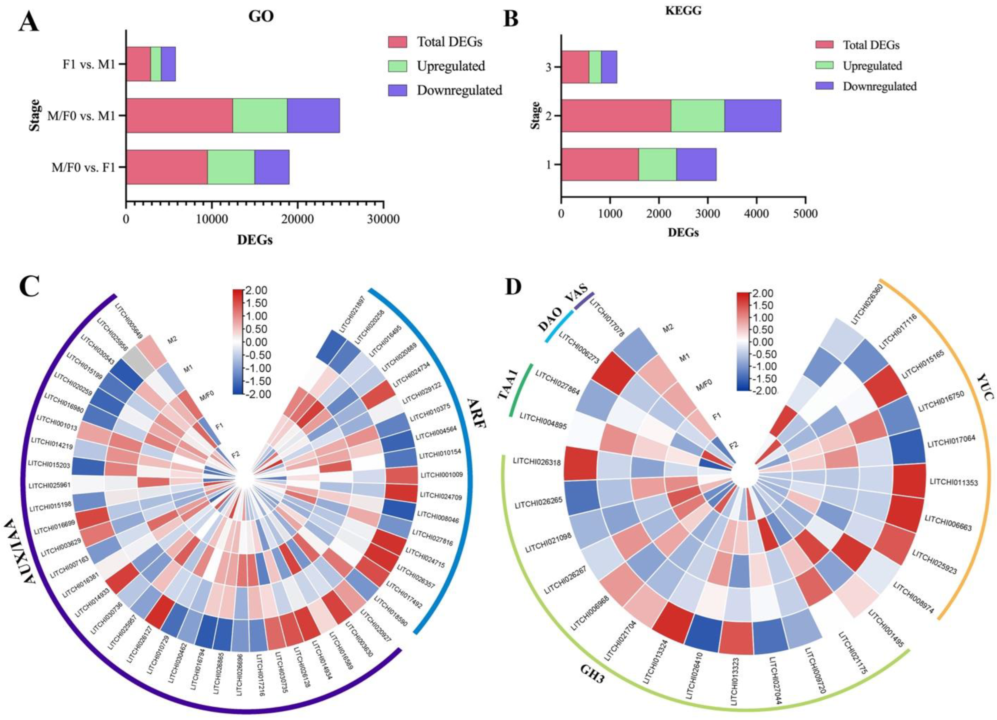 Plants 13 02592 g007