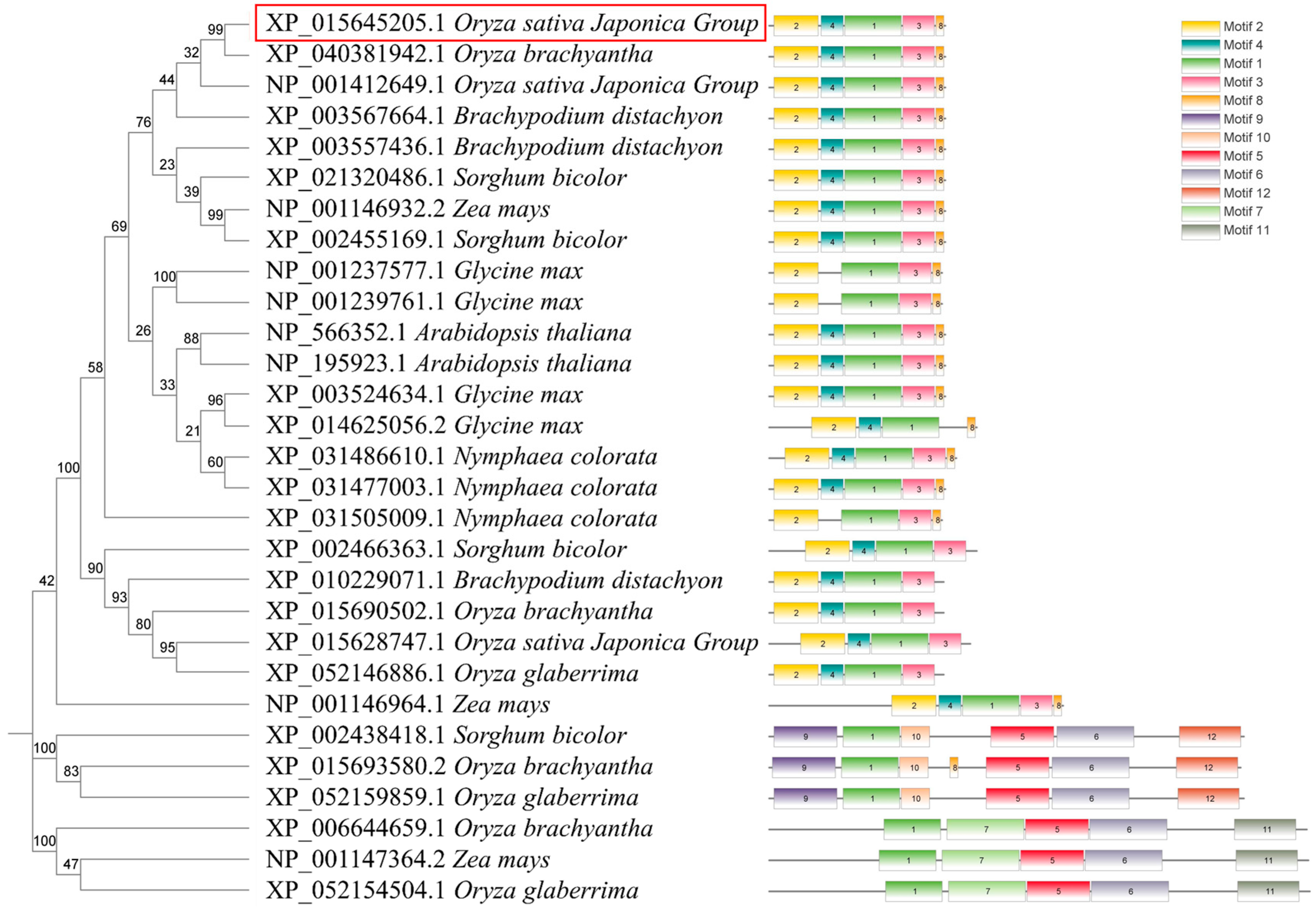 Plants 13 02593 g001 Plants 13 02593 g001