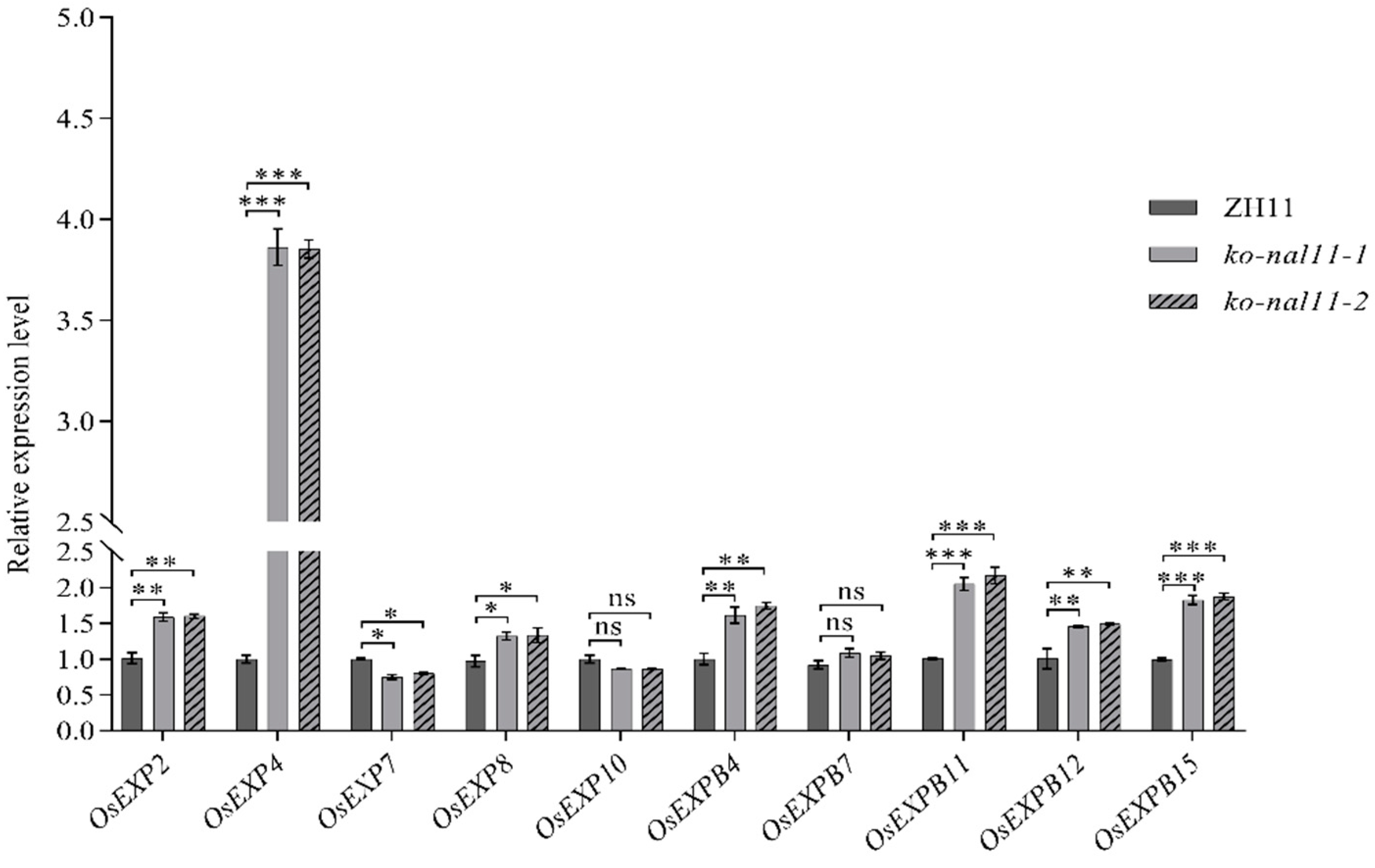 Plants 13 02593 g003 Plants 13 02593 g003