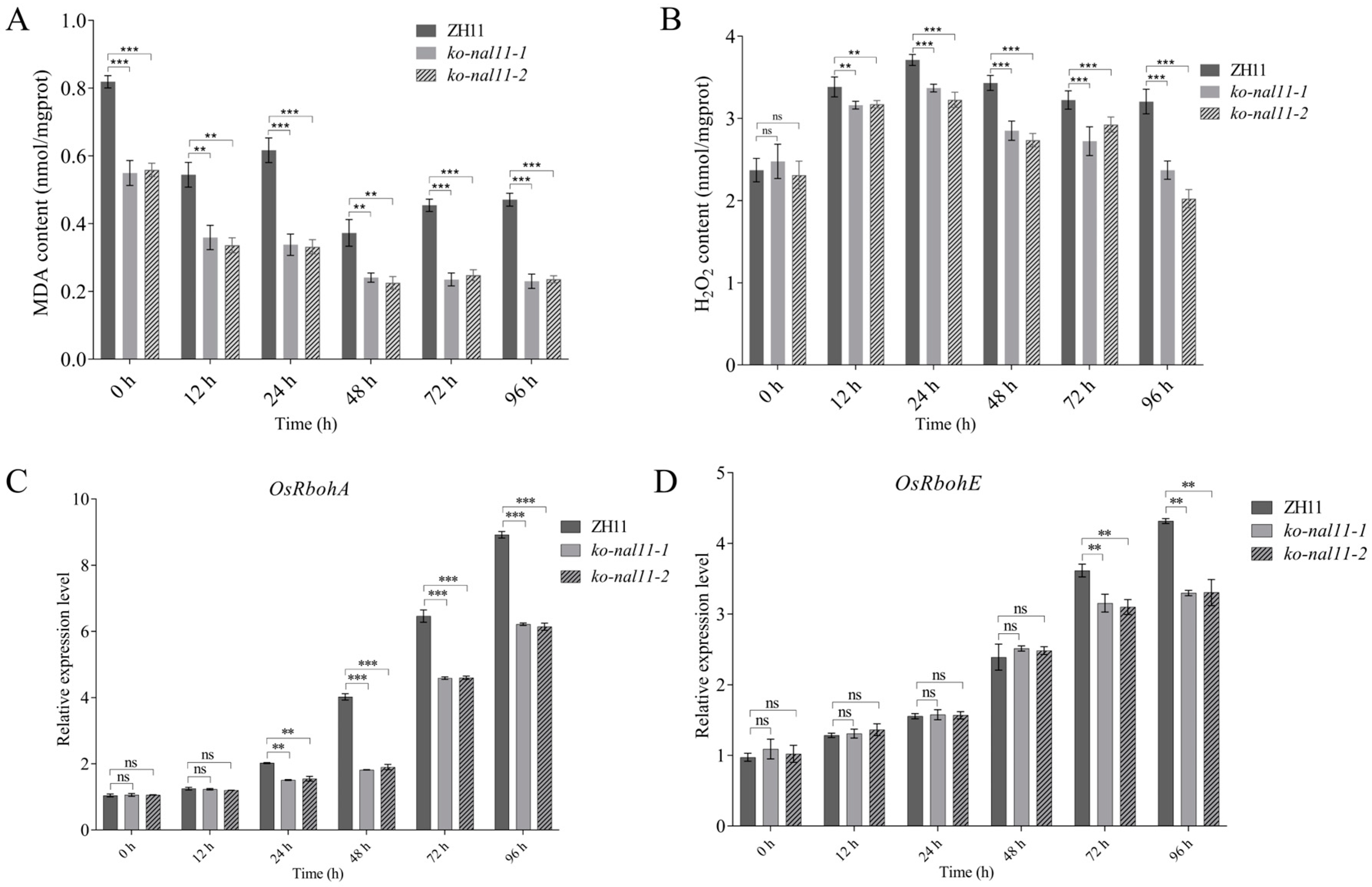 Plants 13 02593 g005 Plants 13 02593 g005