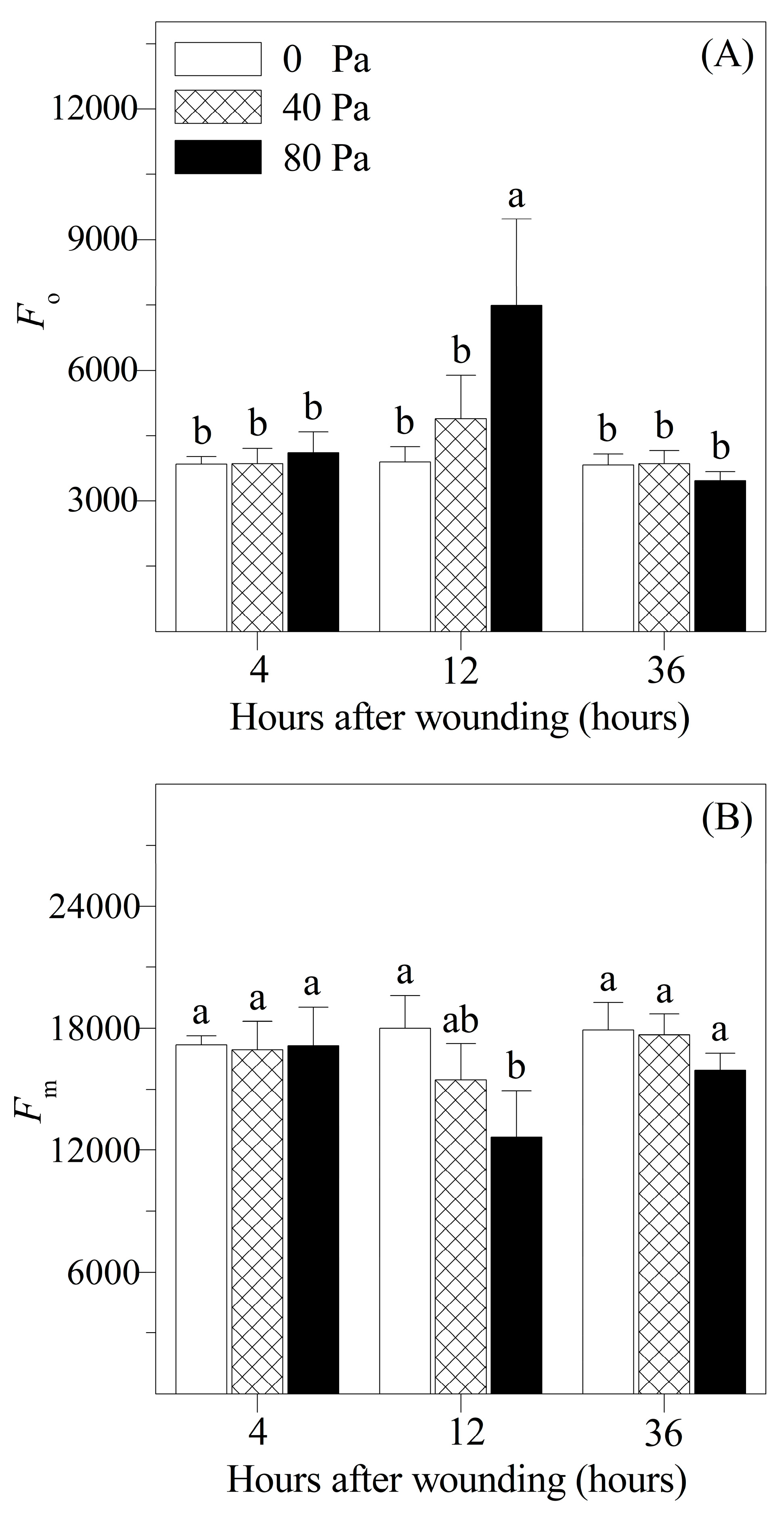 Plants 13 02594 g003a