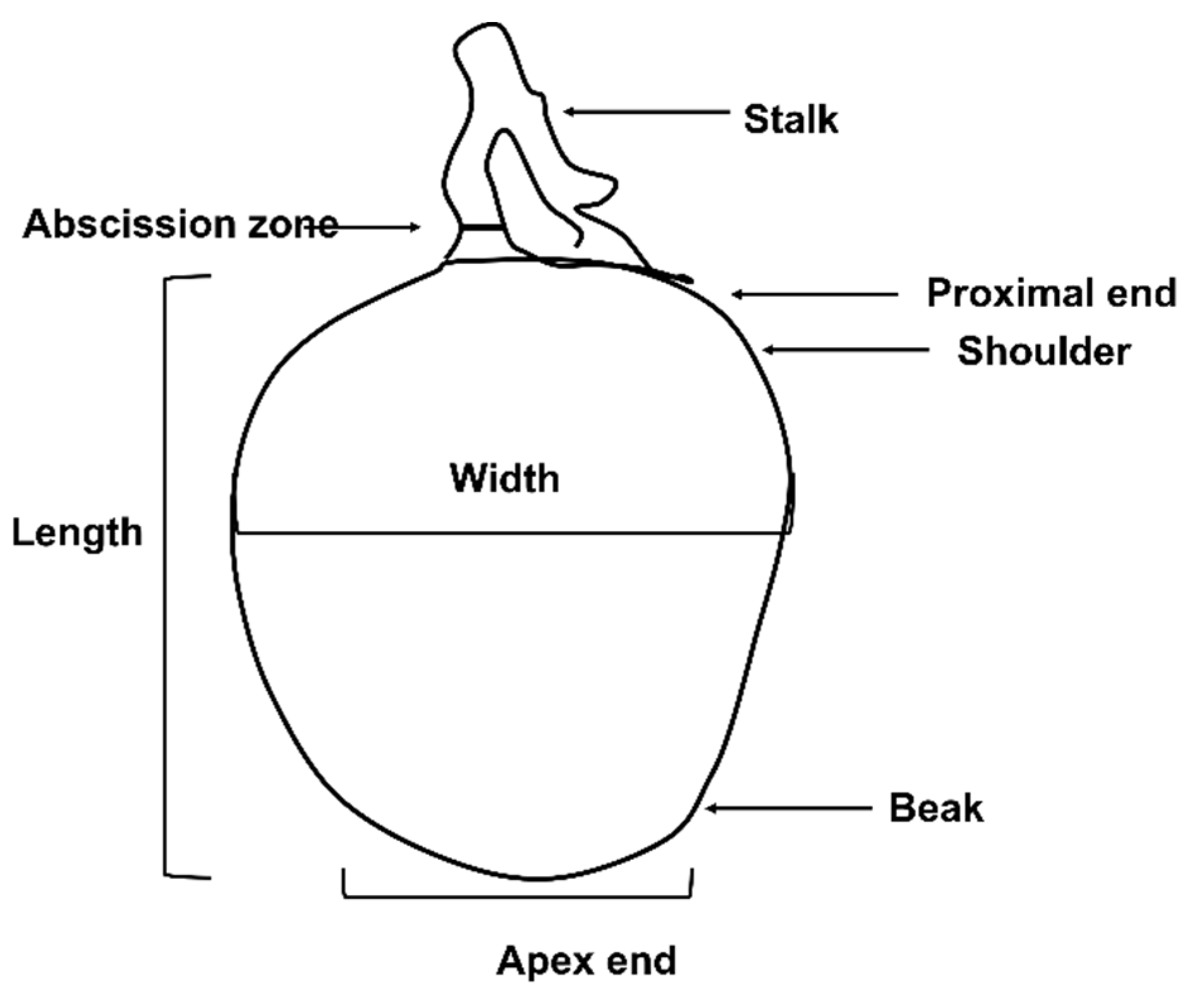 Plants 13 02596 g001 Plants 13 02596 g001