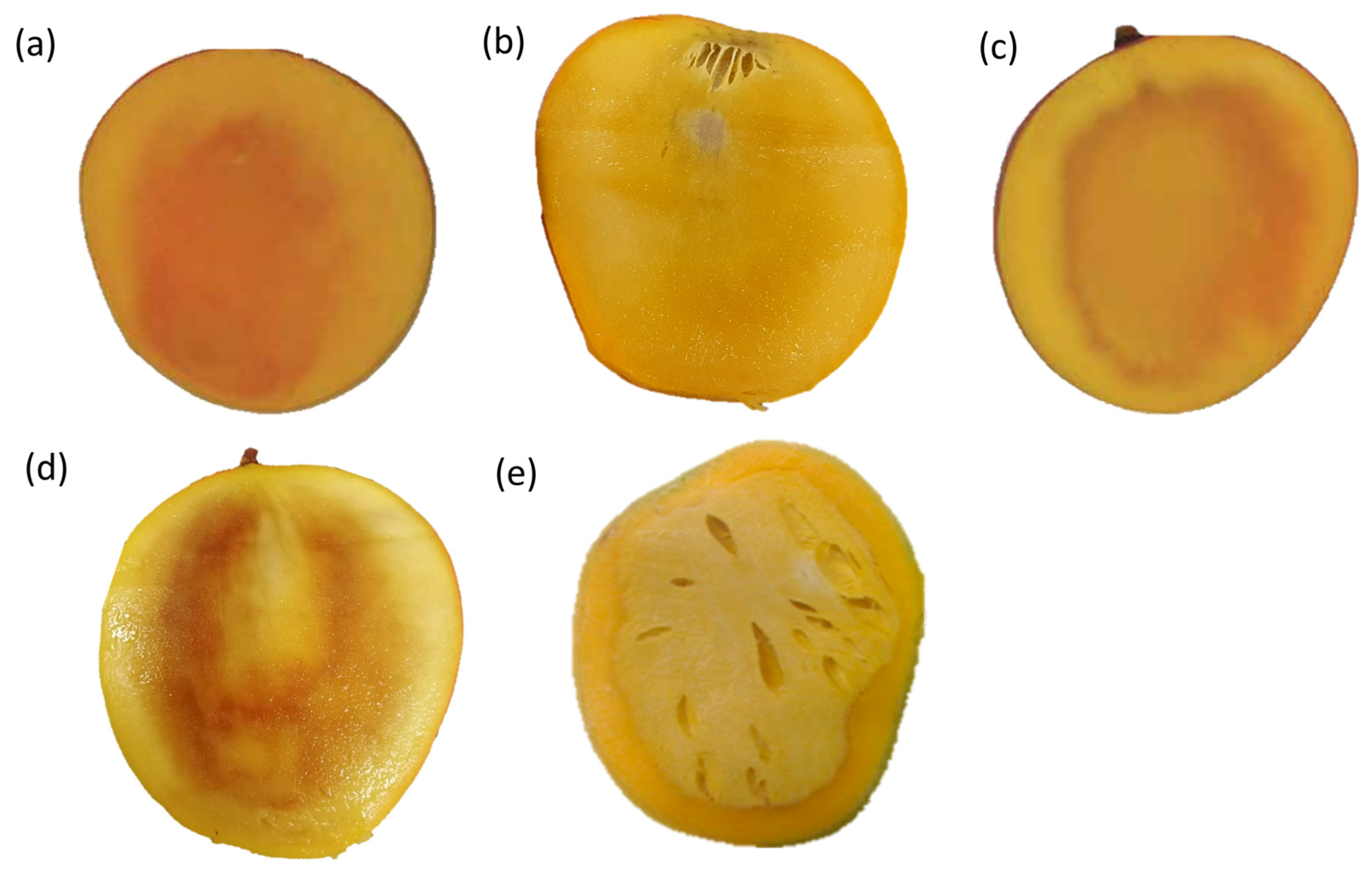 Plants 13 02596 g002