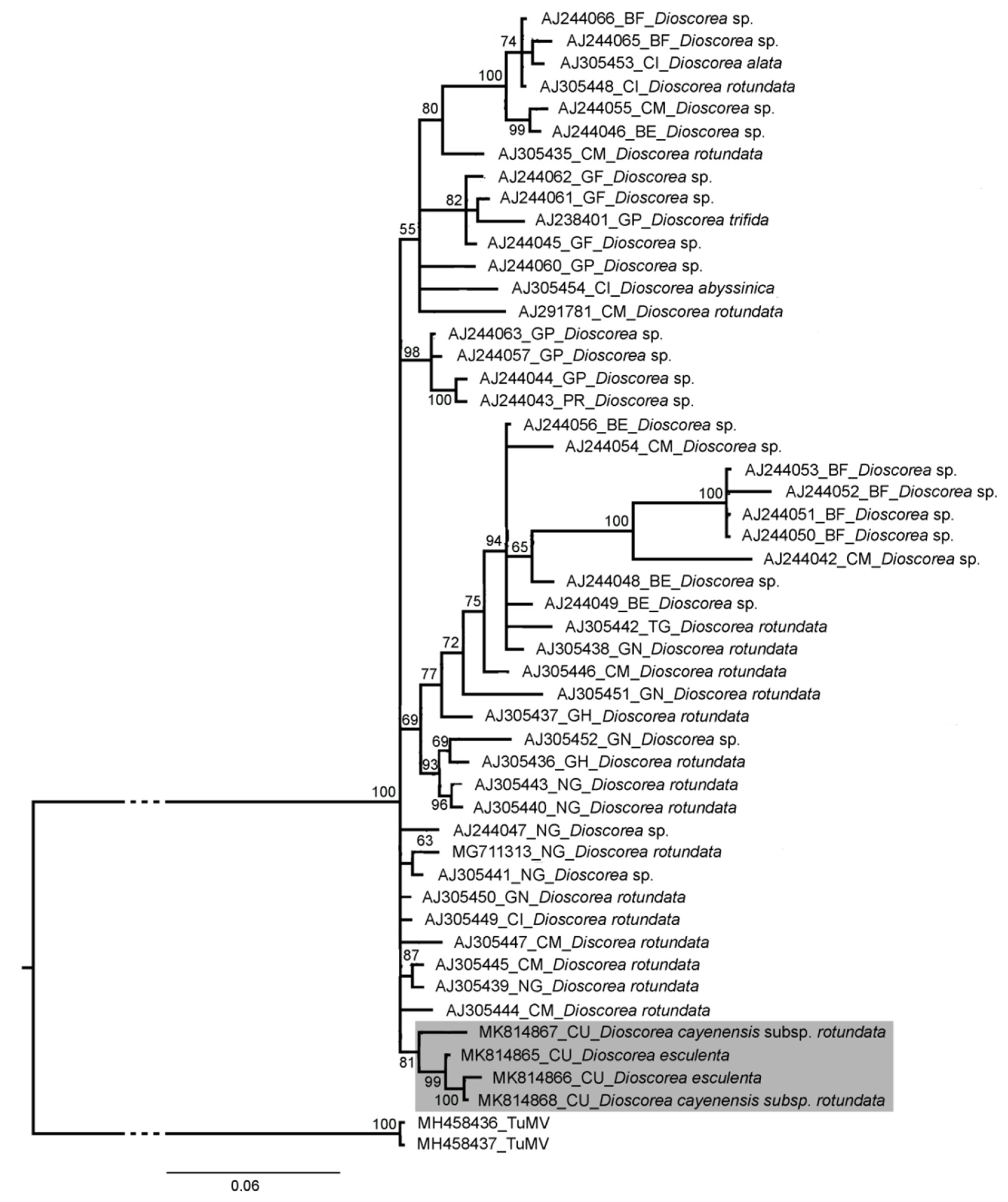 Plants 13 02597 g004