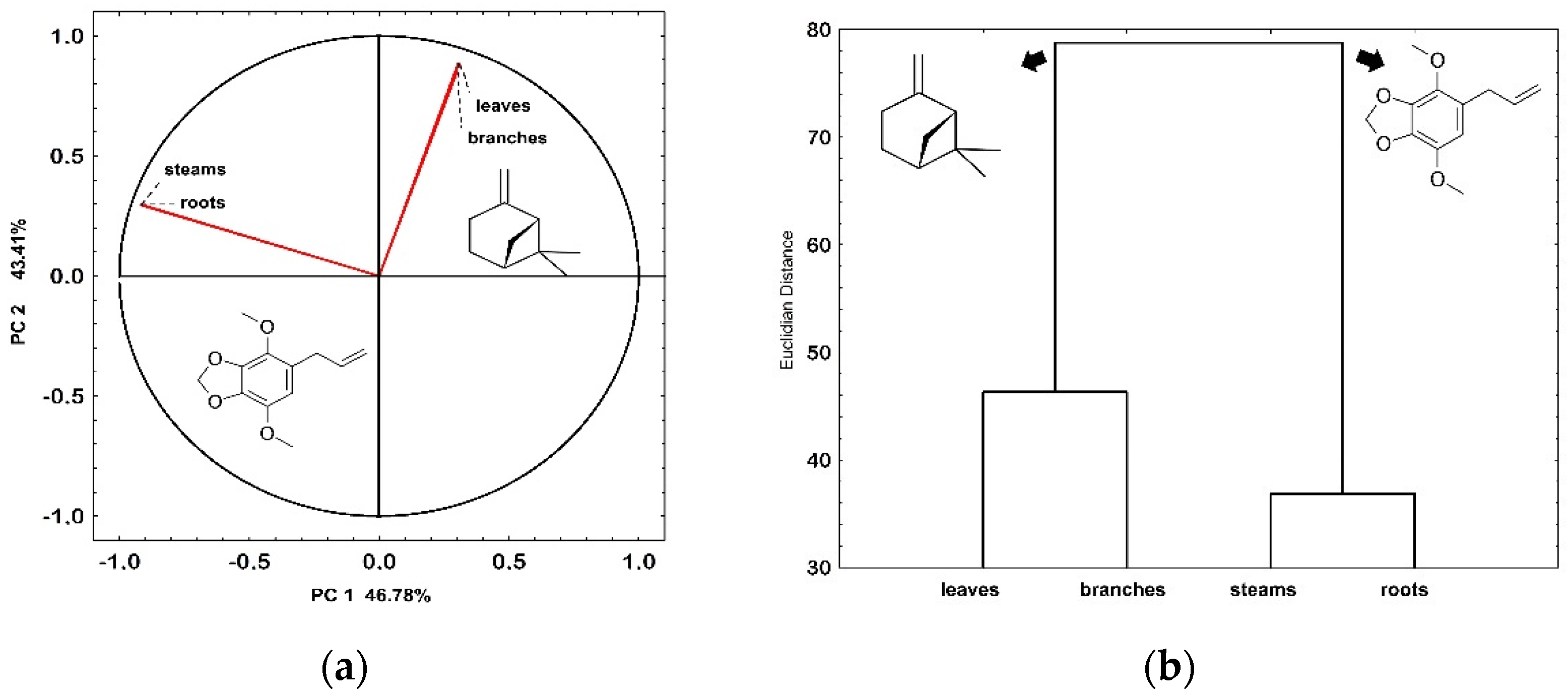 Plants 13 02599 g003