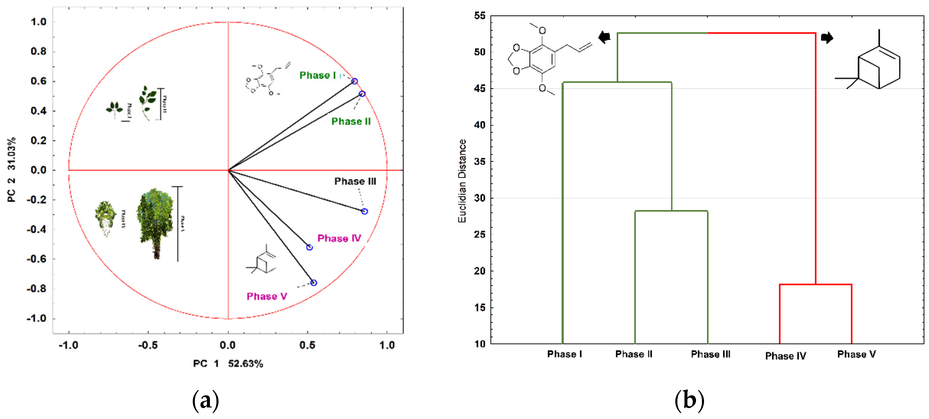 Plants 13 02599 g004