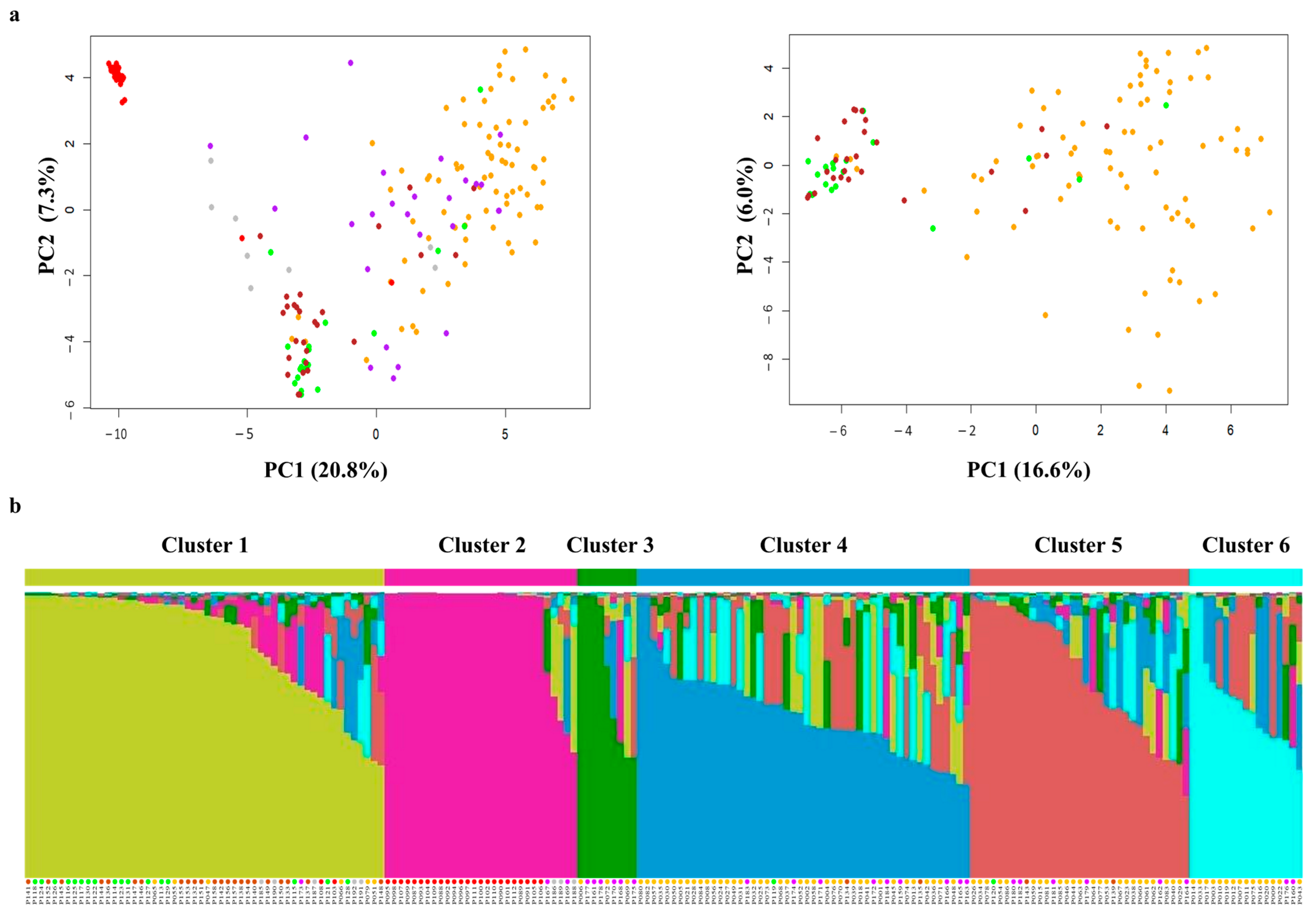 Plants 13 02600 g001