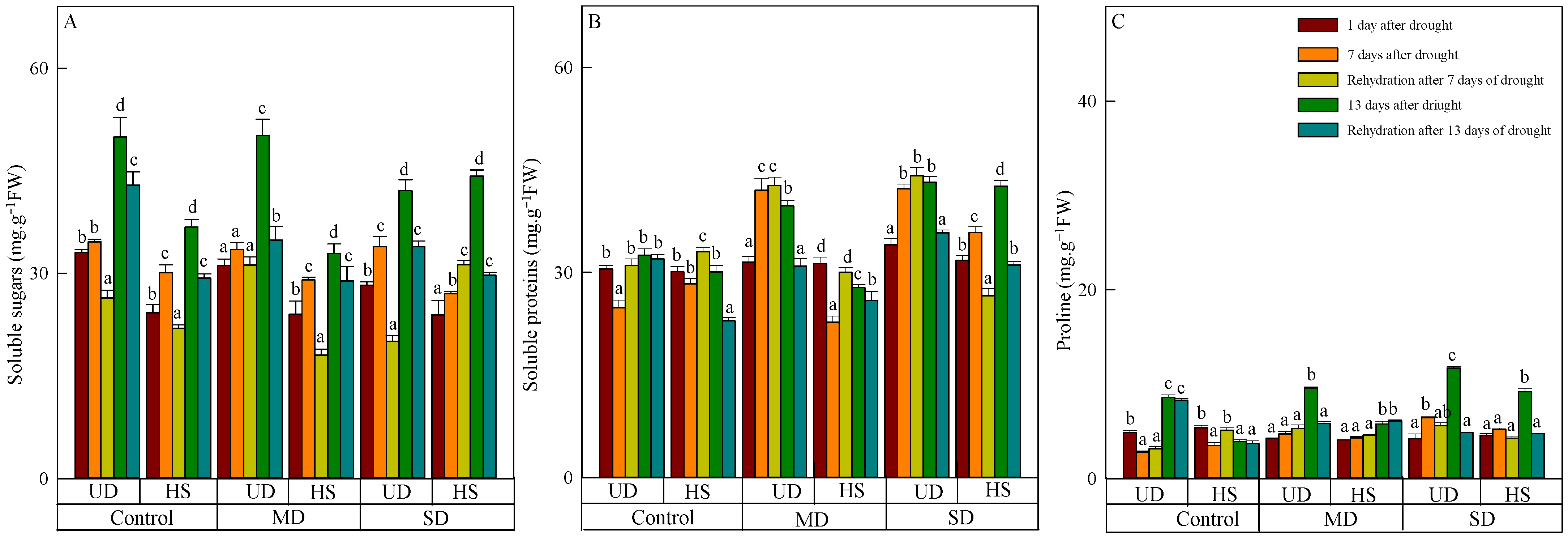Plants 13 02601 g003