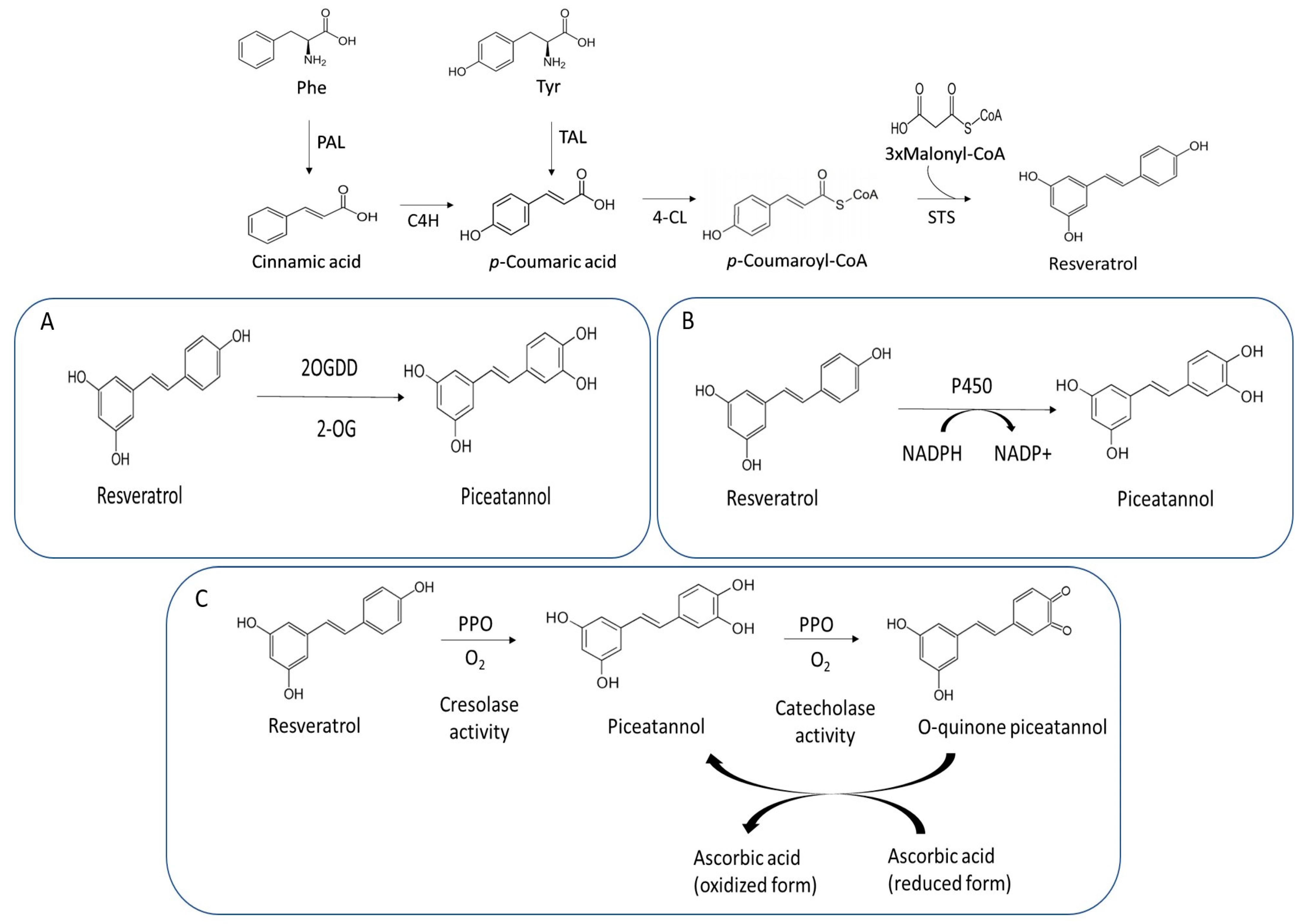 Plants 13 02602 g001