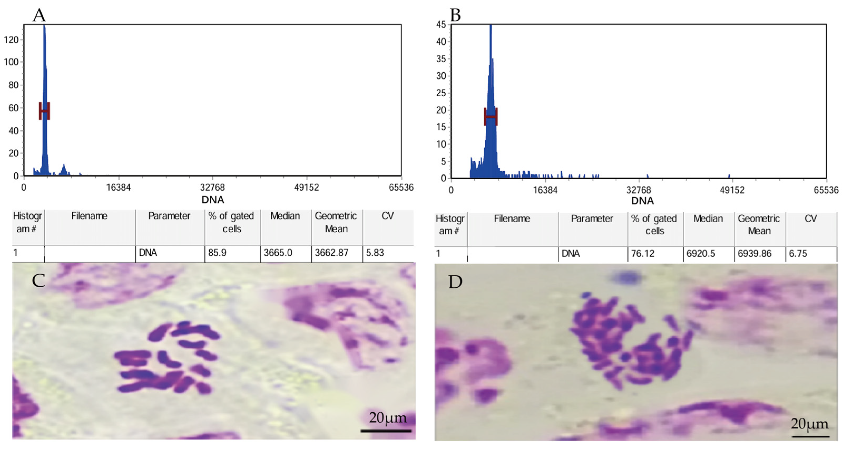 Plants 13 02603 g001