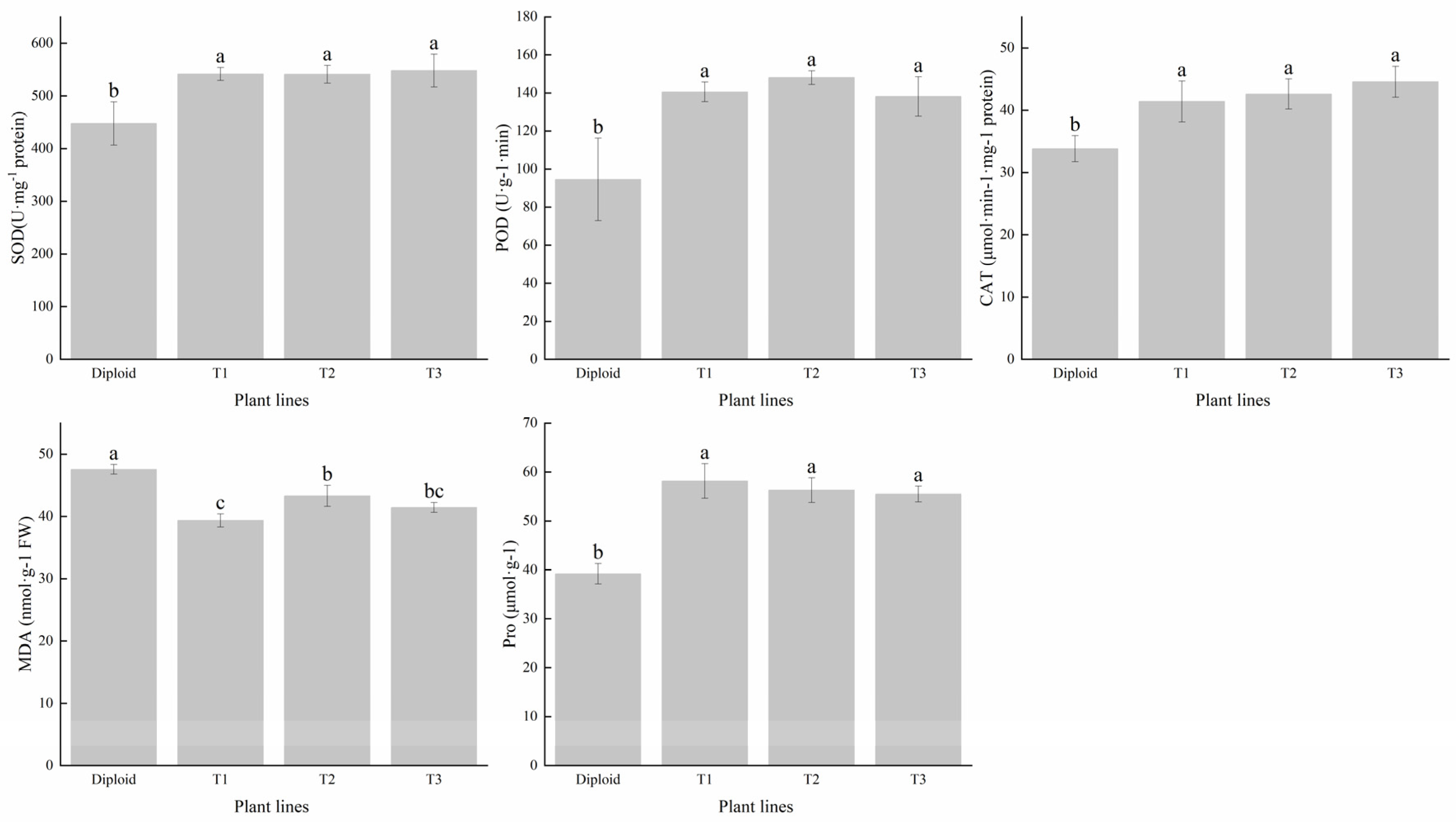 Plants 13 02603 g005