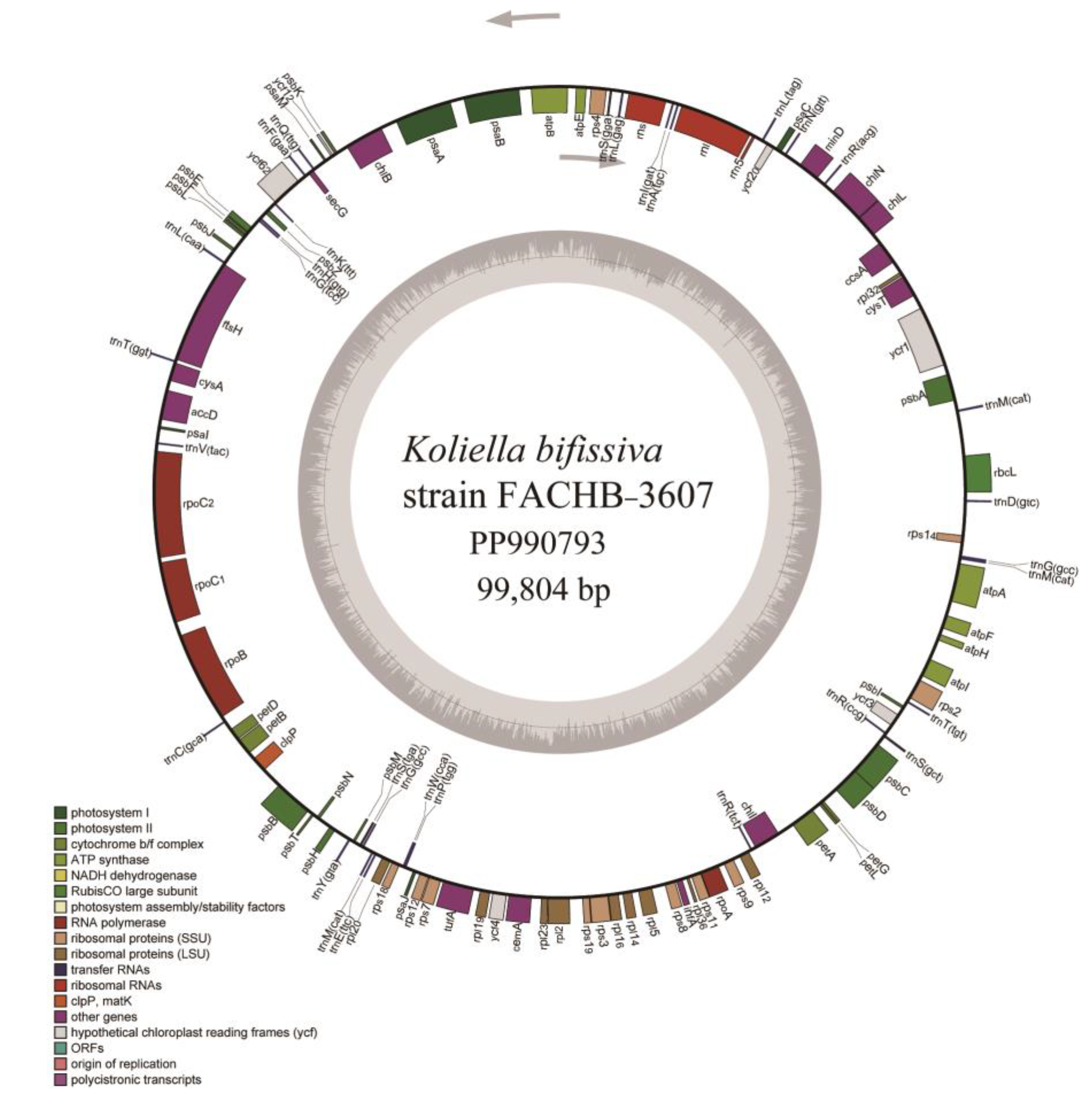 Plants 13 02604 g003