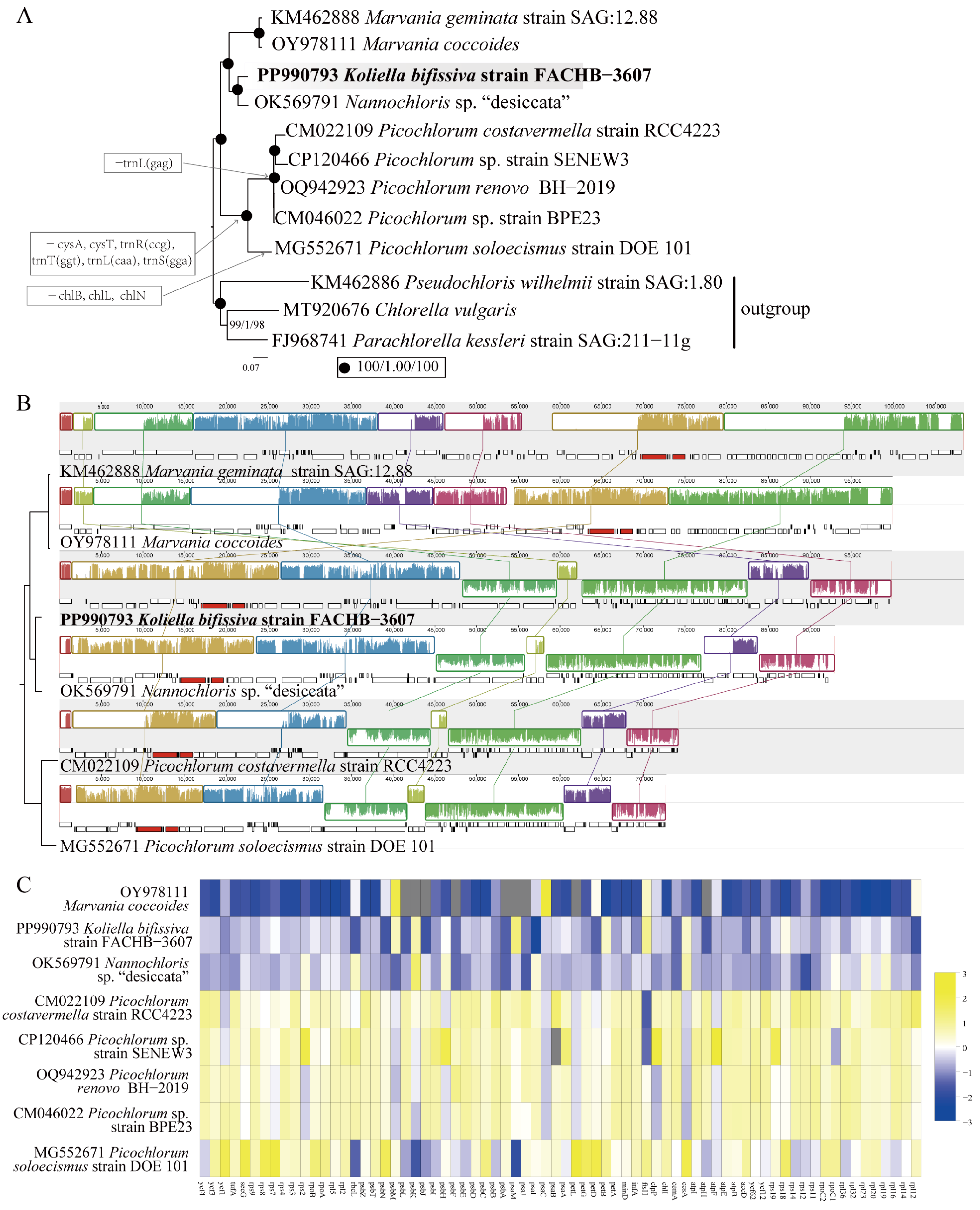 Plants 13 02604 g004