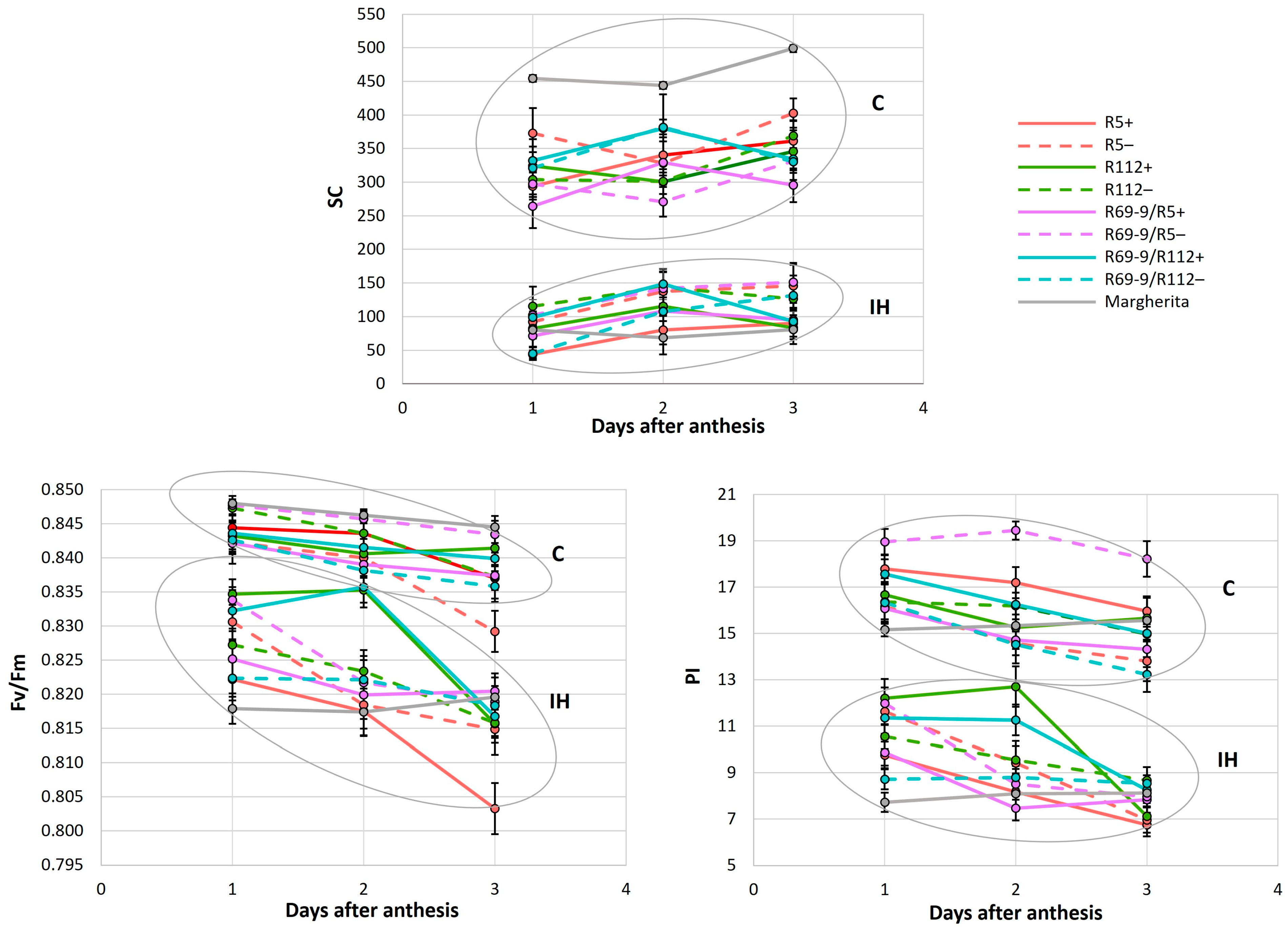 Plants 13 02605 g003