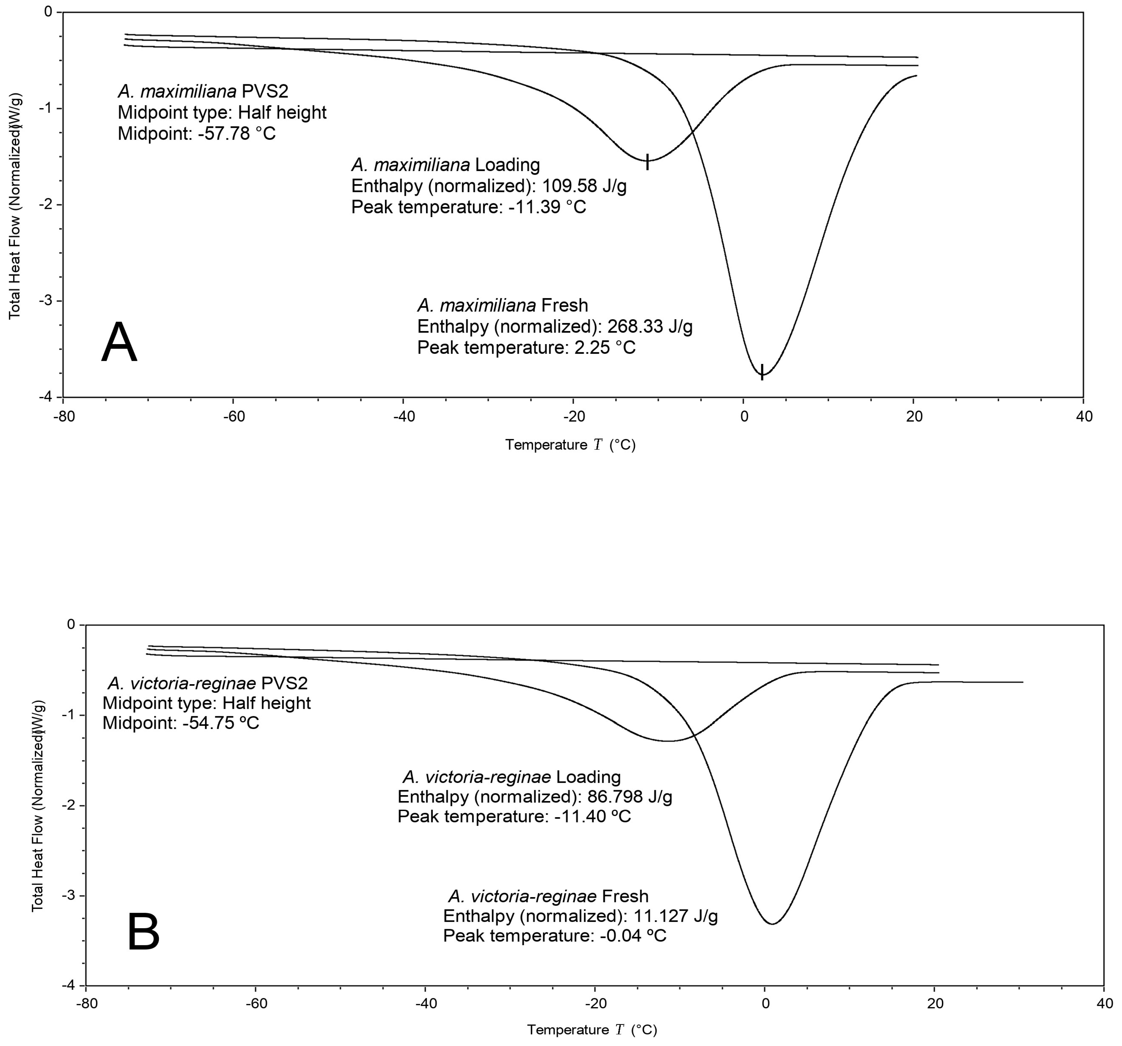 Plants 13 02609 g007