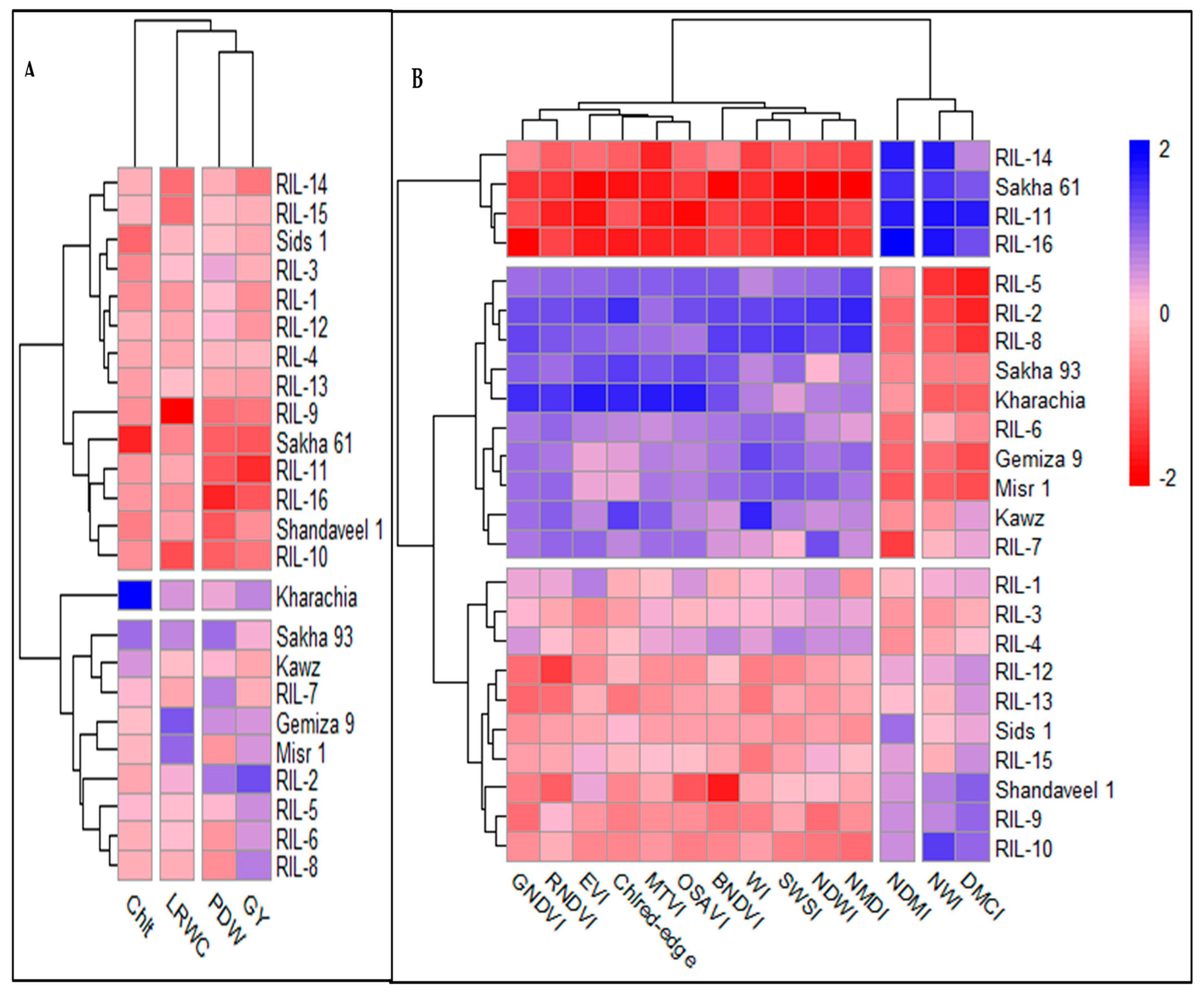 Plants 13 02610 g004
