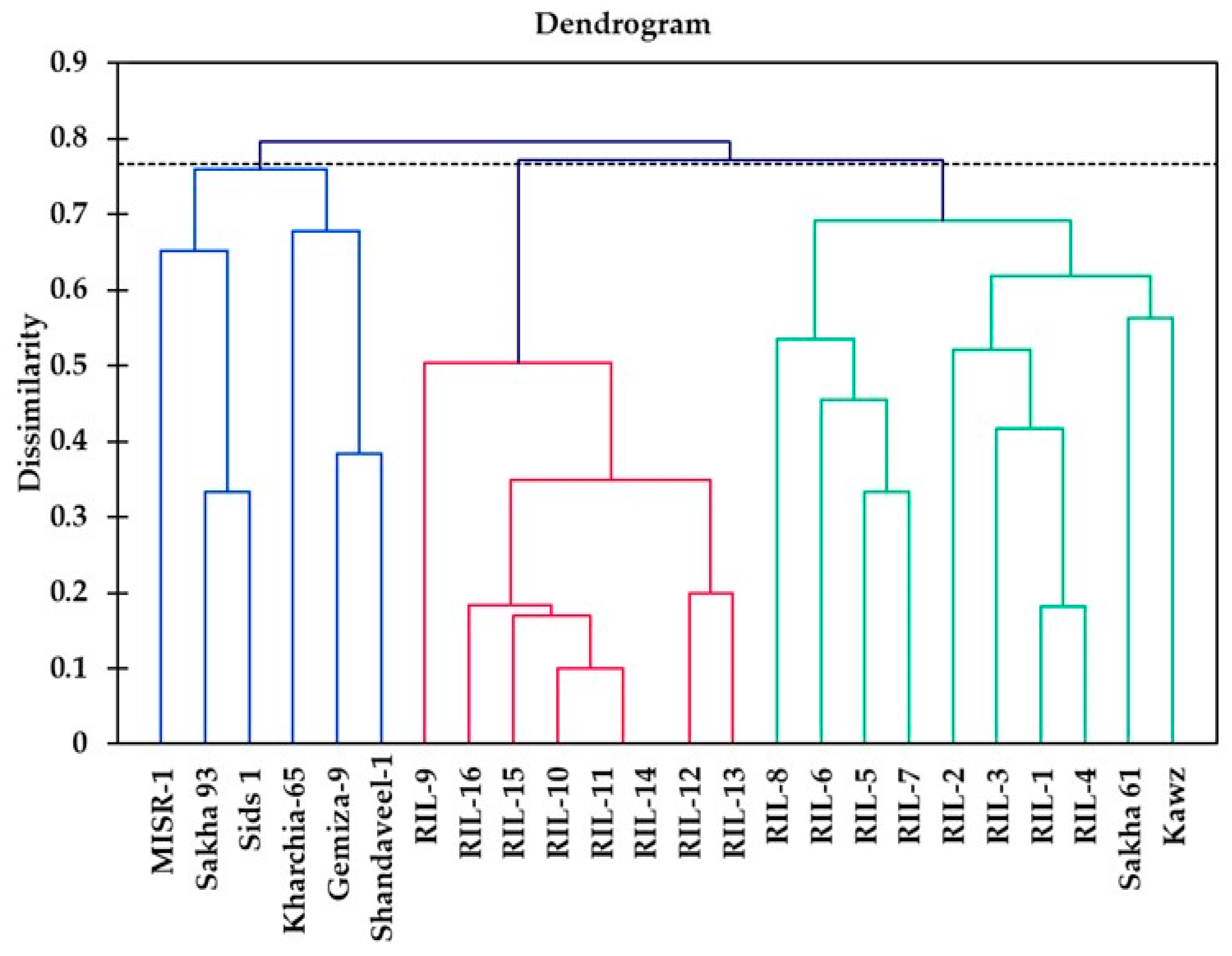 Plants 13 02610 g005