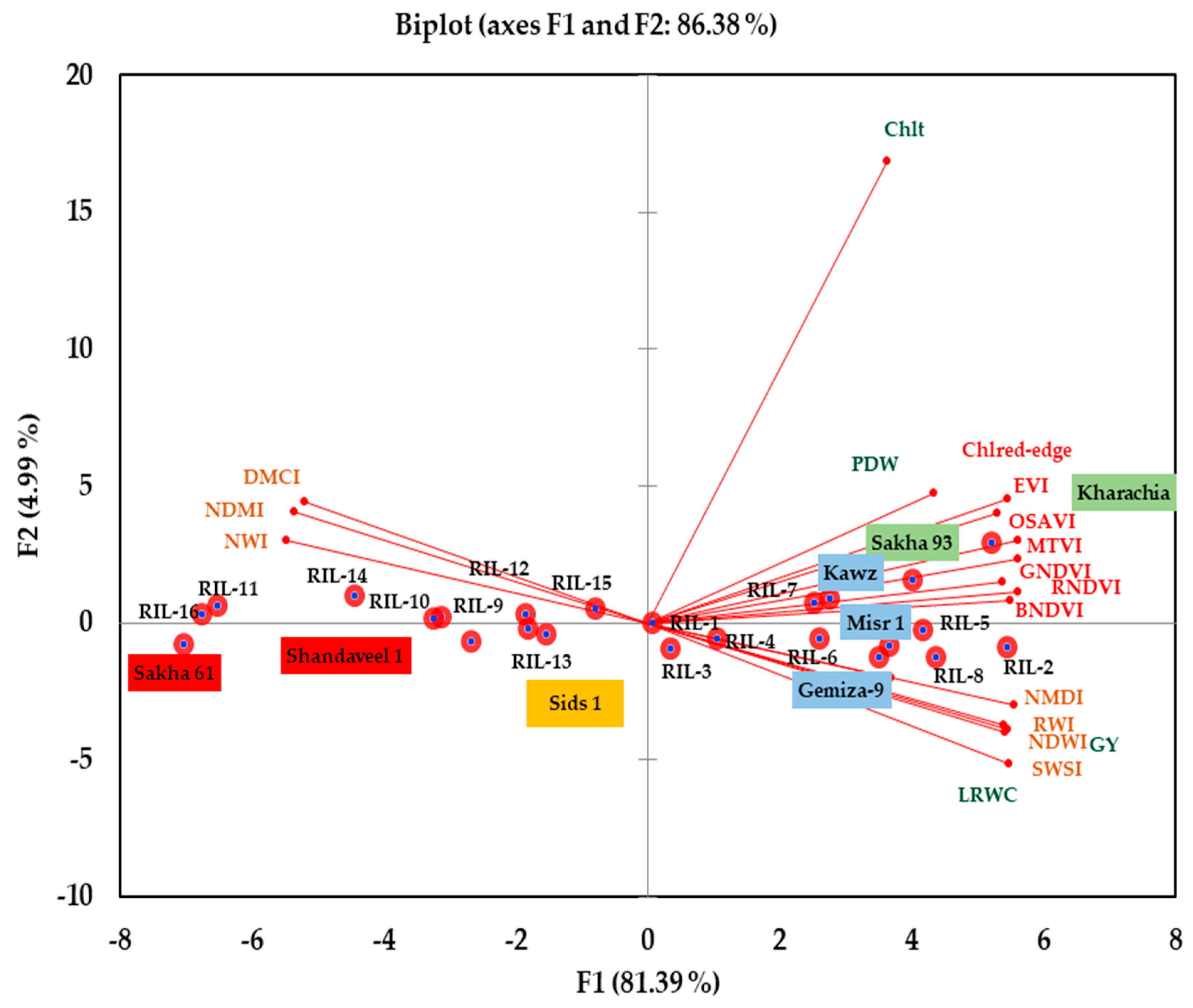 Plants 13 02610 g006