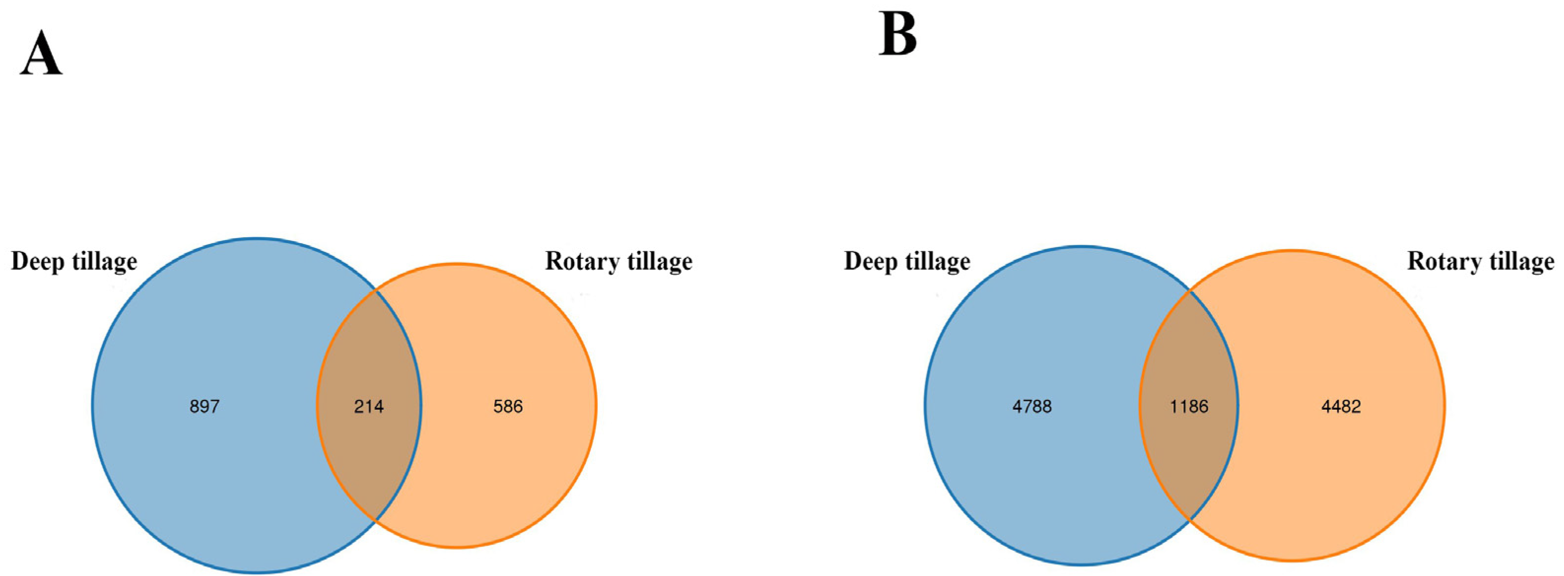 Plants 13 02611 g002