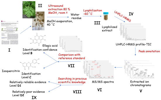 Pelargonium graveolens: Towards In-Depth Metabolite Profiling 
