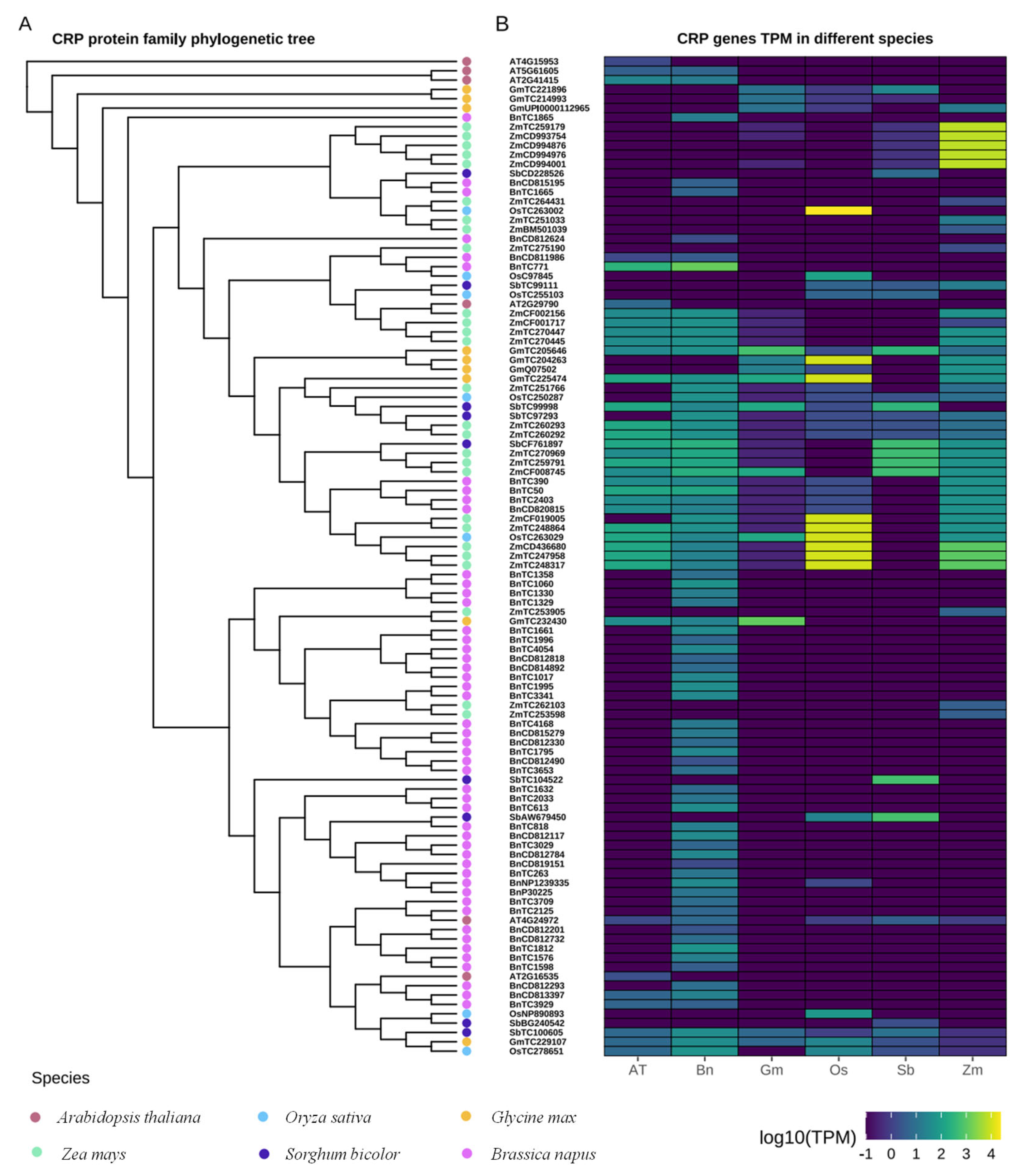 Plants 13 02614 g007