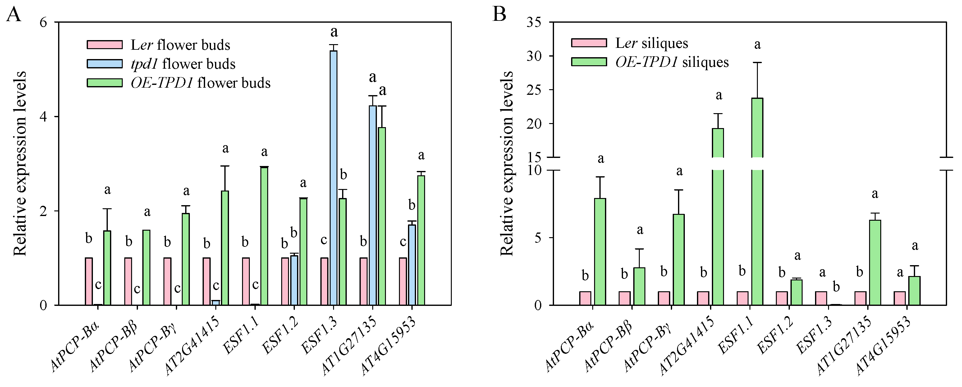 Plants 13 02614 g008
