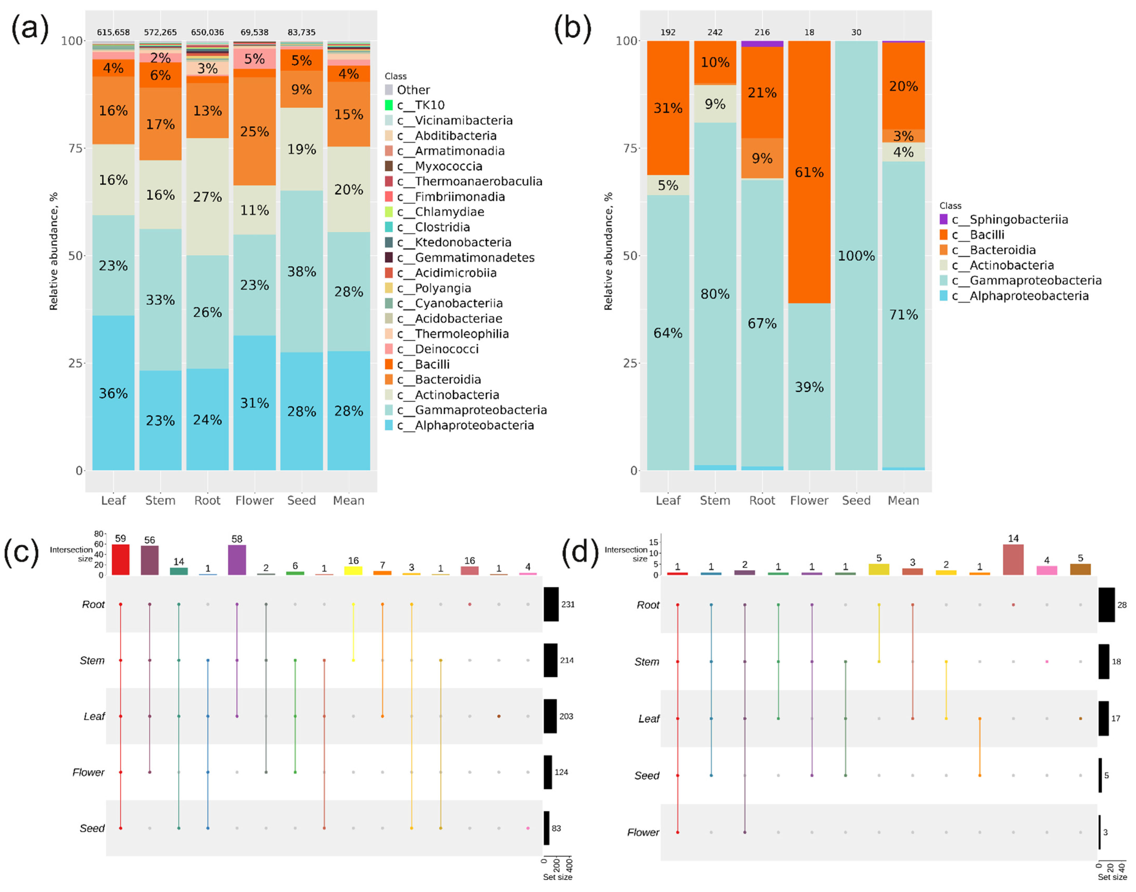 Plants 13 02618 g001